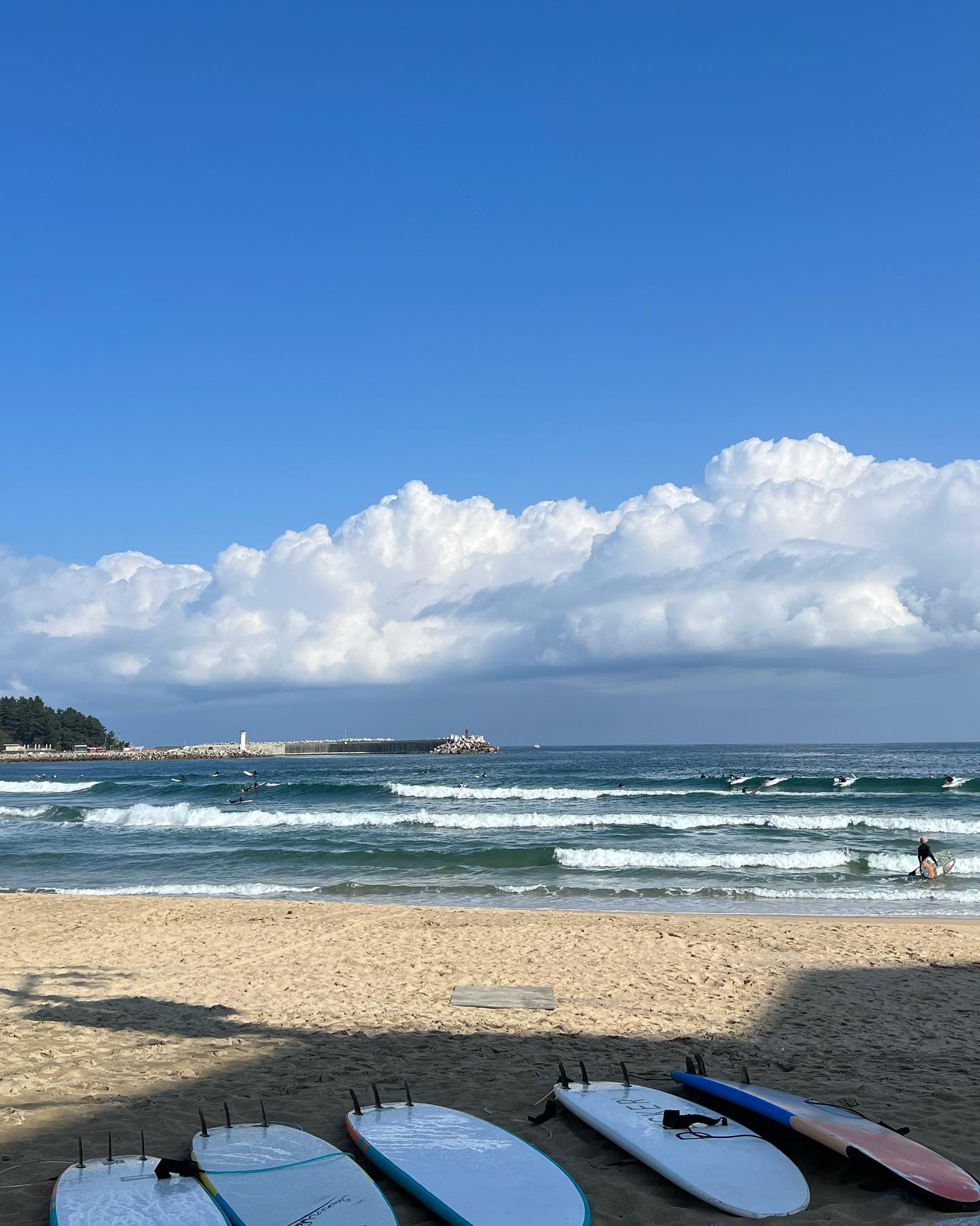 밤바다 보면서 맥주 마시고 꿀잠 자야지 ! 라는 계획으로 출바알 🚗

맥주 마시면서 밤바다 보는데 양양 사람 유원언니에게서 때마침 걸려온 전화, 보일러 짱짱한 4인실 게하에서 나홀로 꿀잠 자고 아침 7시 자동기상, 모닝 커피 들고 인구 ~ 죽도 산책하기, 샵으로 돌아와서 찬규형님과 나눈 재밌는 대화들, 7주 만에 또 우연히 만난 아름언니와 민정이, 오토바이 타고 찬규형님과 샌드위치 사러가기 (스무디까지 사주셨다 🥹), 사장님 찾아 삼만리, 저녁 6시에 깜깜한 밤하늘, 밤하늘에 떠있던 꽤나 많은 별들, 반가운 사람들과 가볍게 맥주 한 잔, 땡그란 보름달 🌝 

시골 사랑 바다 사랑 
작은 촌동네를 구석구석 다 누비고 즐겼다
꽂고 있던 에어팟 노이즈캔슬링이 어쩌다 해제되면서 
띠링 - 소리와 함께 들려온 고요한 파도소리에 감격 또 울컥
여름 대비 사람도 적고 아무 말 없이 조용히 바다 앞에서 멍 때릴 수 있는 
이 여유로움 너무너무 소중해
이런 가을이라면 가을도 좋..ㅇ..