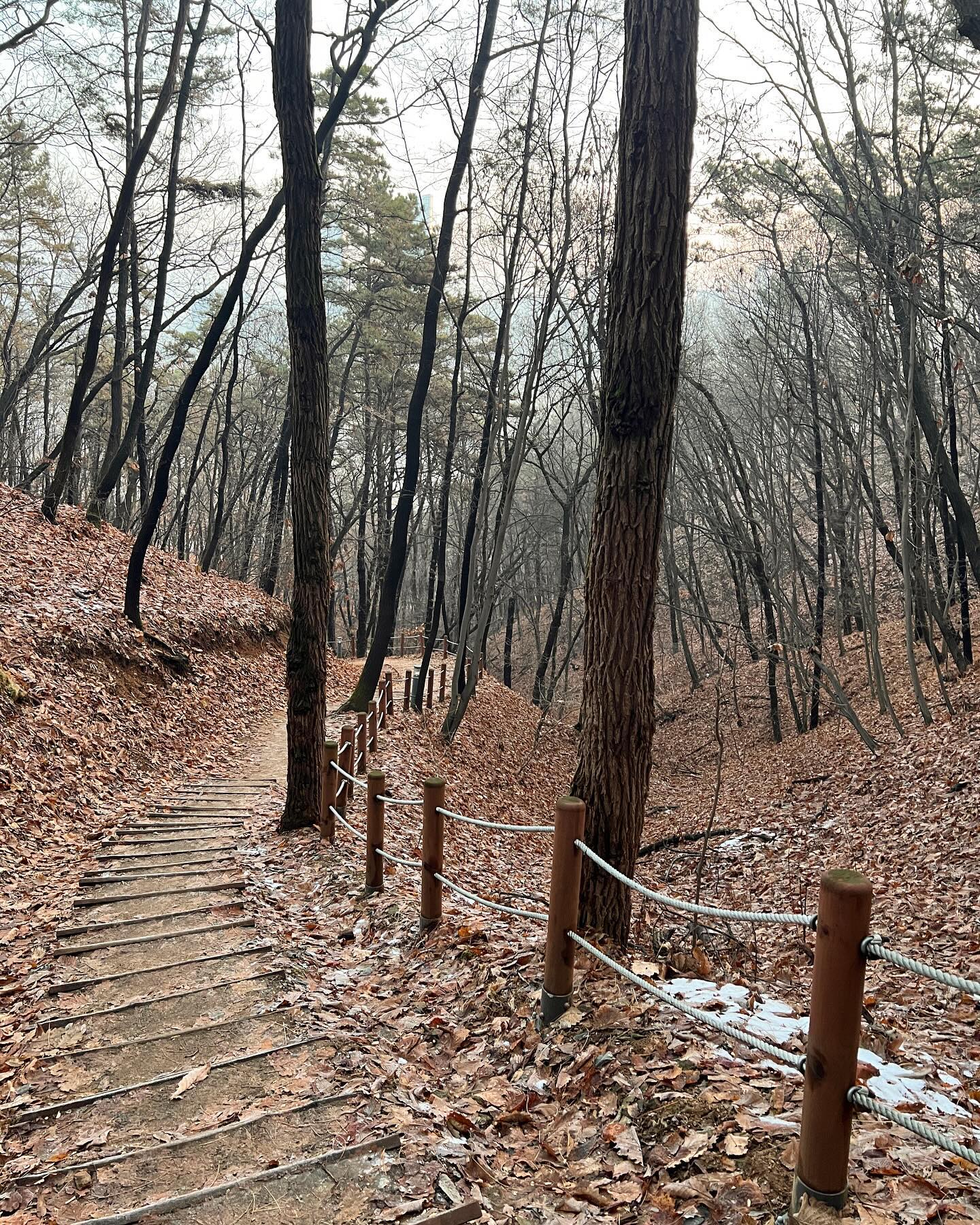 _

일출 보고 싶어서 혼자 다녀왔는데
산책로가 얼어 있어서 혼자오길 잘했다 싶음

막상 올라갔더니 새로 올라오는 공사중인 건물에 일출이 딱 가림….

하산하고 돌아오는데
일출 명당은 곧 이사갈 집이였네..
이제 일출보러 안가 ㅋㅋ

집에 오니 착하게 떡국 끓여준 남편

그리고 떡국은 쳐다도 안보고
평소 먹지도 않는 빵으로 아침 떼우시는 분

우당탕탕
새해 첫날 우리가족