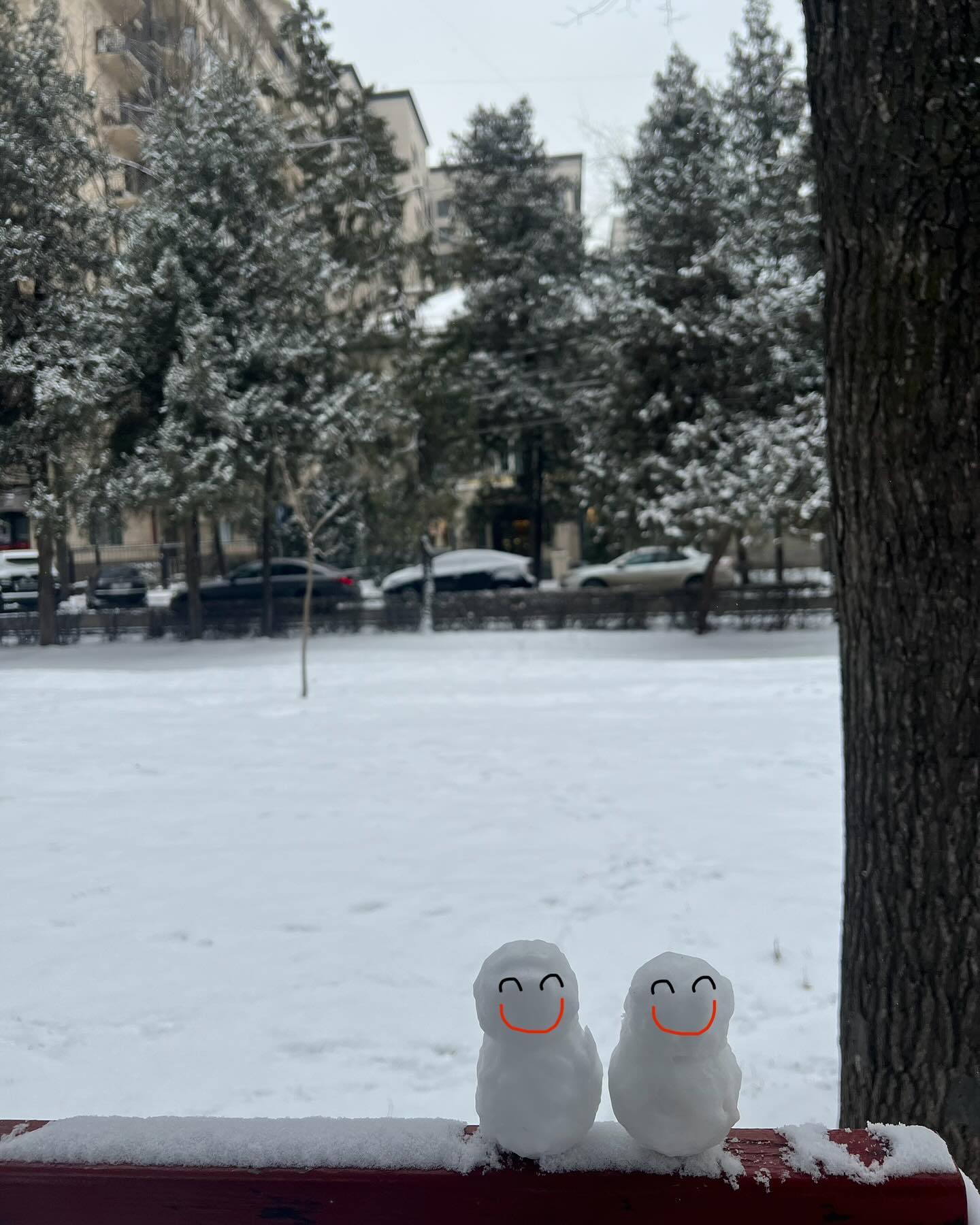 이번 겨울 처음으로 만든 ⛄️☃️

First made this winter ⛄☃

Впервые сделала эту зиму ⛄☃