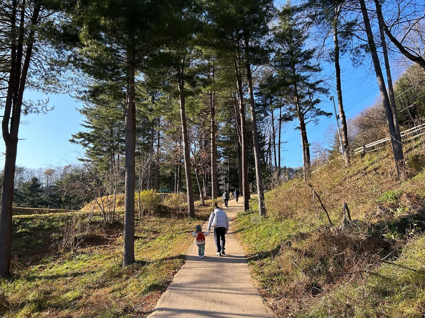 내 소중한 순간들,
빛나는 아이들 ✨
 

#알파카월드 🦙