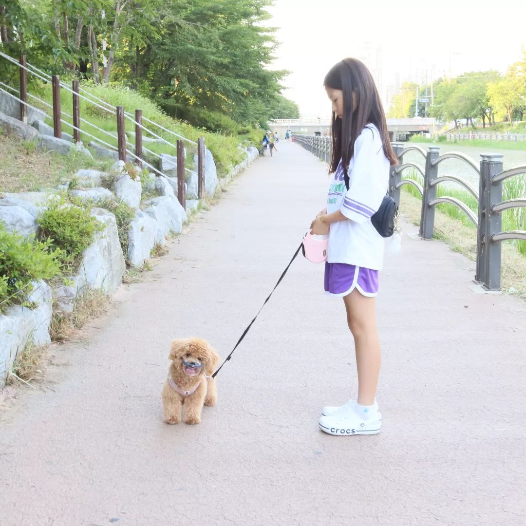 #협찬
.
우리코코 자꾸 주워먹어서 큰일!
산책 나갈때 안심 하고 마음껏
뛰어놀 수 있게
#루브립 #투명입마개 준비!

다음주 놀러갈때도
루브립입마개 챙겨 갈려구요~
모래 먹으면 큰일 나잖아요 ㅋㅋ

착용 후 물을 마실 수 있고,
냄새를 맡거나 호흡하는데 불편함이
전혀 없어서 좋았어요~

입질있는 댕댕이나
발톱깎을때 빗어줄때 사용
하기에도 좋을것같아요 ^^

.

#강아지산책 #물먹는입마개  #이식증
  #LUVLIV #루브립입마개 #멍스타그램 #댕댕이
#푸들미용 #푸들산책 #푸들 #댕댕이스타그램 #반려견 #반려인