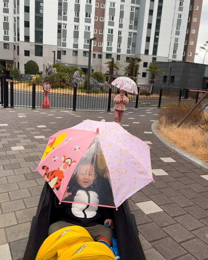 내 동생이야❤️

동생 비 맞을까 우산 씌워주는 멋진 누나
아침에도 재민이 우산 펴주려다, 땡깡재민이에게 당했지만…
하원 후에도 동생 생각하는건 누나뿐💕 신재민!!! 잘해라 임뫄

가방정리 신나게 하다 엄마 모자쓰고 장난치고,
감자칩 만들어놨더니 먼저 집어 먹고 있는 그들…ㅌㅋㅋ
밥도 한그릇씩 순식간에 뚝딱하고,
감자전까지 완료하고 마지막 망고까지…👏 대단하다…
누나들 각자 망고 하나씩 먹은거 실화냐!!!

씻고 난 후 매일 돌아가는 하루 마무리 루틴
크레타하고 책읽고 화장실 갔다가 물마시고 밴드 붙이고 낸내
와우…언제까지 밴드를 붙일런지🤣
밴드 왕창 사놓길 잘했다…하하하
오늘도 빠빠이 하고 나왔더니 누워서 “엄마”부르며 노는 삼남매
귀여워죽겠다💗 그리고 그렇게 스르륵 잠든 그들
더 이뻐 죽겠네

삼남매 잠드는게 힘들어했던게 엊그제 같은데,
또 어느새 이렇게 적응하고 방법을 찾아간다😊
우리 아가들 잘자 내사랑 알라뷰 

#등원 #하원샷 #비오는날 #비안옴 #우산씌워주기 #동생사랑 #망고사랑 #하루루틴 #스스로잠들기 #잘자내사랑 #쥐띠아기 #쌍둥이맘 #딸둥이 #이란성 #생후1271일 #호랑이띠맘 #생후680일