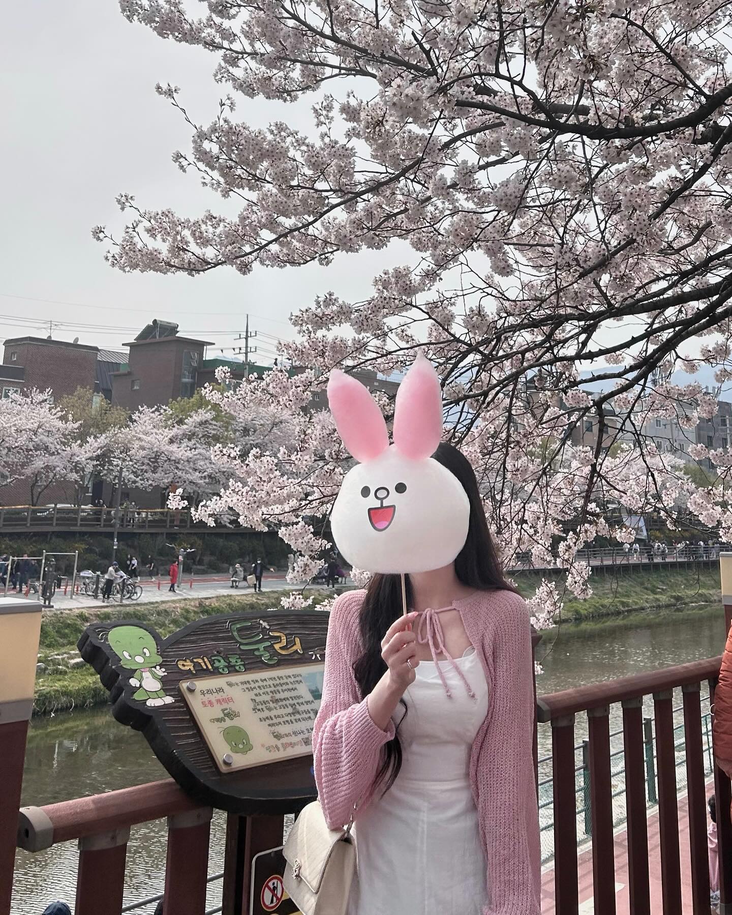 벚꽃 = 이수정이라고 할 수 있지 🌸