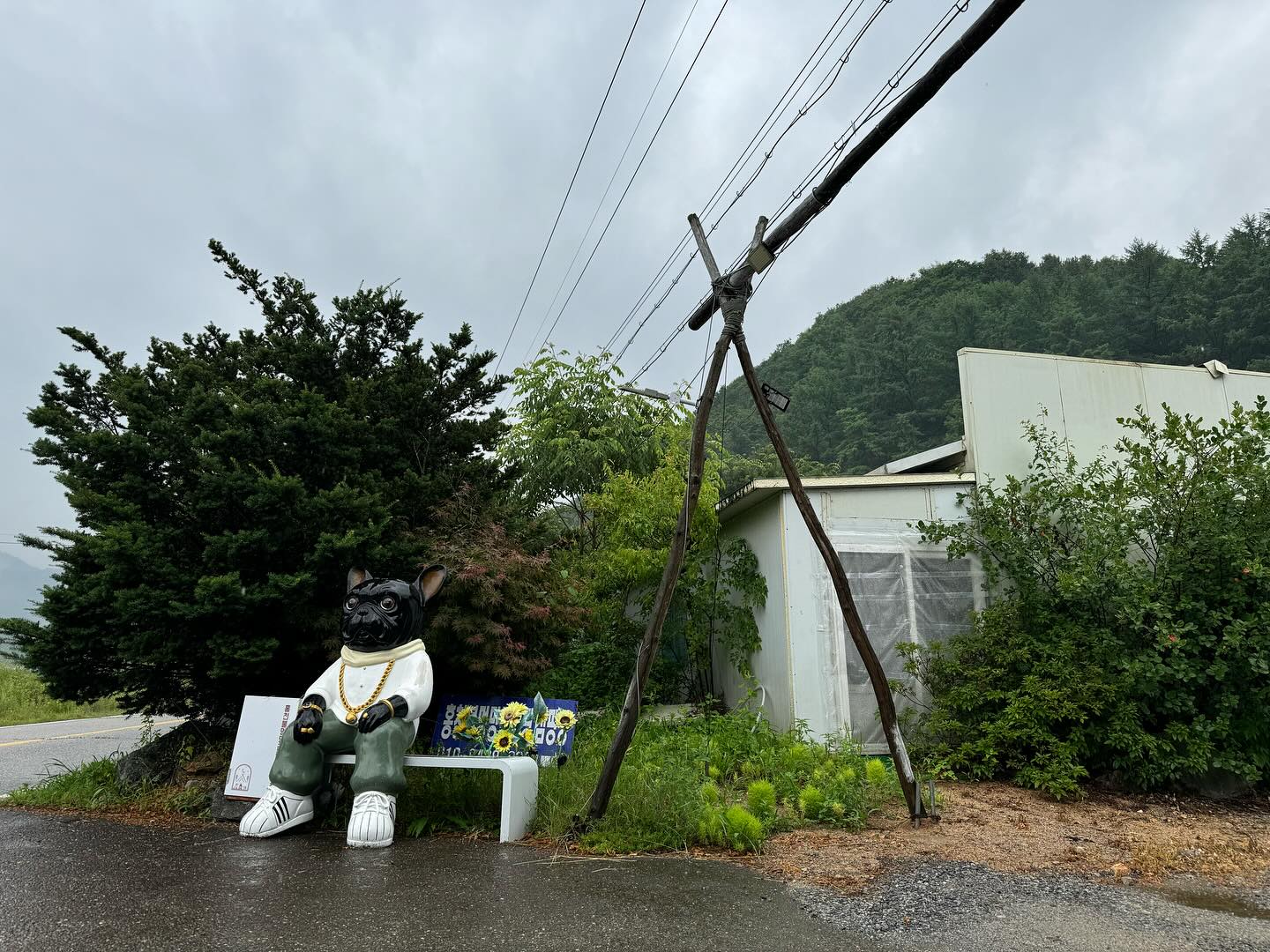 __홍천불멍멍글램핑🐕

홍천 화촌면에 위치한 불멍멍글램핑,캠핑장❗️

처음으로 율무 데리고 놀러온 글램핑😊
율무도 신나고, 권이도 신나고, 도아도 신나고, 엄마아빠도 신났다ㅎ

비록 비가 왔지만 그래도 캠핑은 비 맞으면서 노는게 최고지👍

담에 또 와야징 룰루

체크인도 빨리하고 내일은 체크아웃 연장 예정 뿌이뿌이뿌이😻

#홍천불멍멍글램핑 #캠핑 #글램핑 #돔글램핑 #가족여행 #홍천 #홍천글램핑 #홍천캠핑장 #신난다 boolmungmung