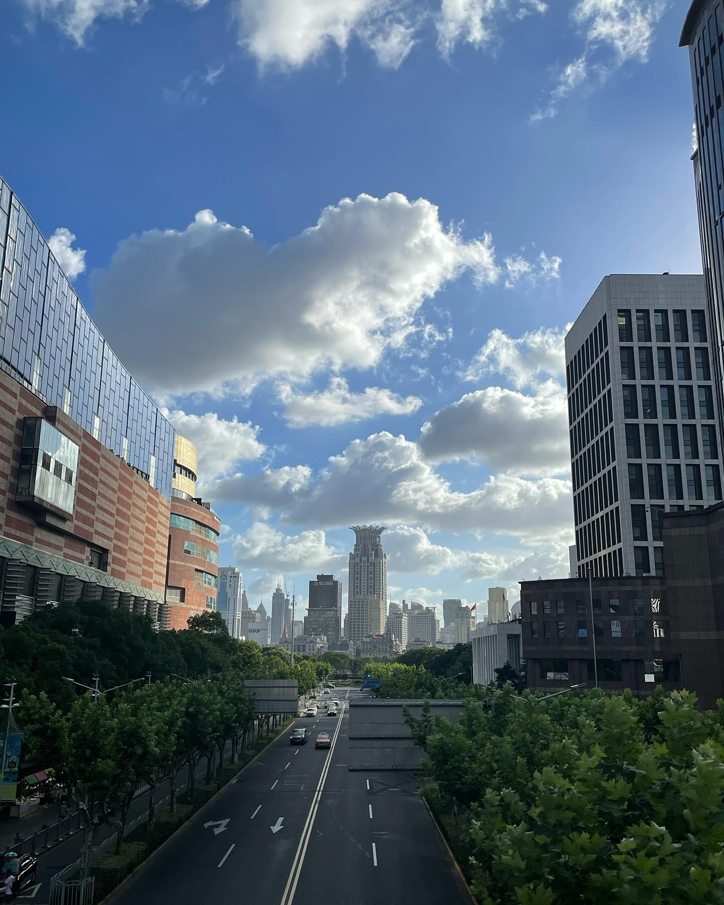합성같고 깨끗했던 상해🌳