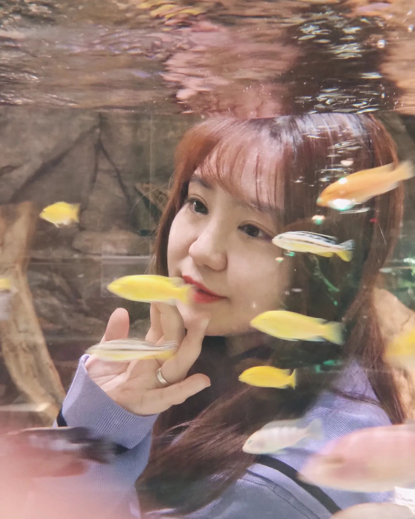 애기들 놀아준거 아니고 내가 잘 놀다옴^.^♡
아 단체사진이 가로라 다 잘려서 아쉽눙
with daeun_photo_ haa_mooo_ kyoungmi999 windbeark leees1215 inaeki 
.
#가평 #신비동물원