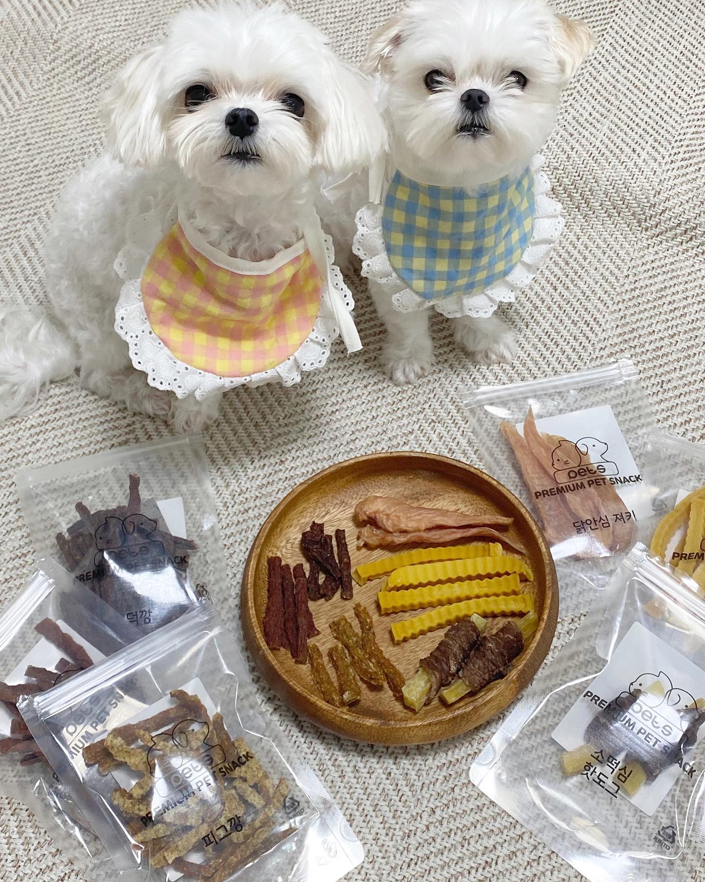 털뚱뚱이 되고 있는
오월이 여름이 간식 선물 받았어요 !!! 
펫스 pets_official_kr 
요기 간식인데
봉지 뜯기 전부터 먹고 나서까지
오월여름이가 넘 좋아하는 거 있죠 ! ❤(ᵔᵜᵔᶹ)

신선한 재료와 정싱이 가득한 
다양한 강아지 고양이 간식이 준비되어 있으니
간식 찾던 분들 요기입니닷 . .
특히 깡시리즈 강추 d=(´▽｀)
