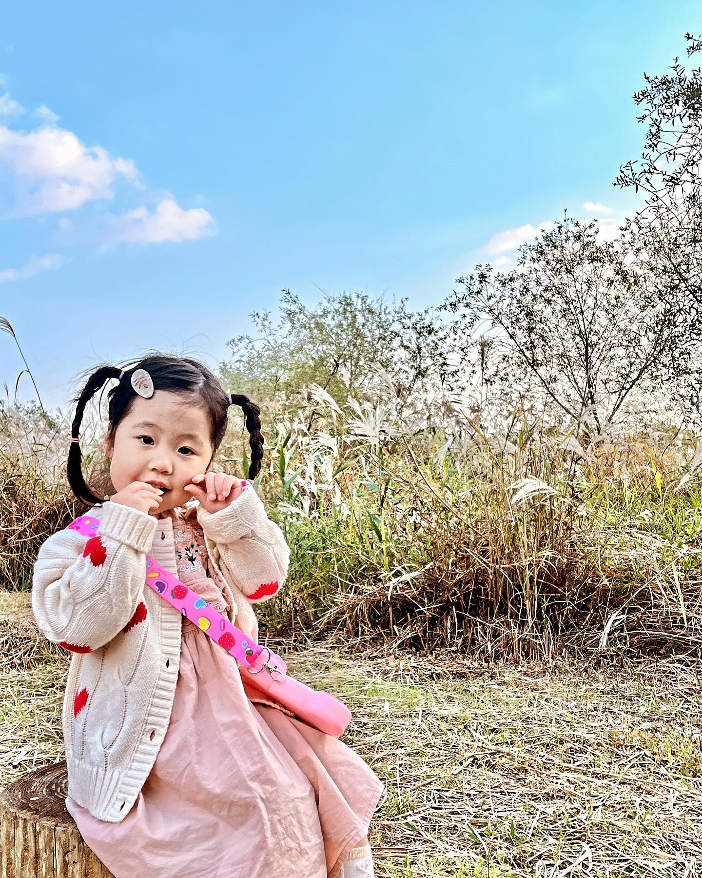 우와 가을이다🍂하는 순간 끝난 느낌.. 🥺