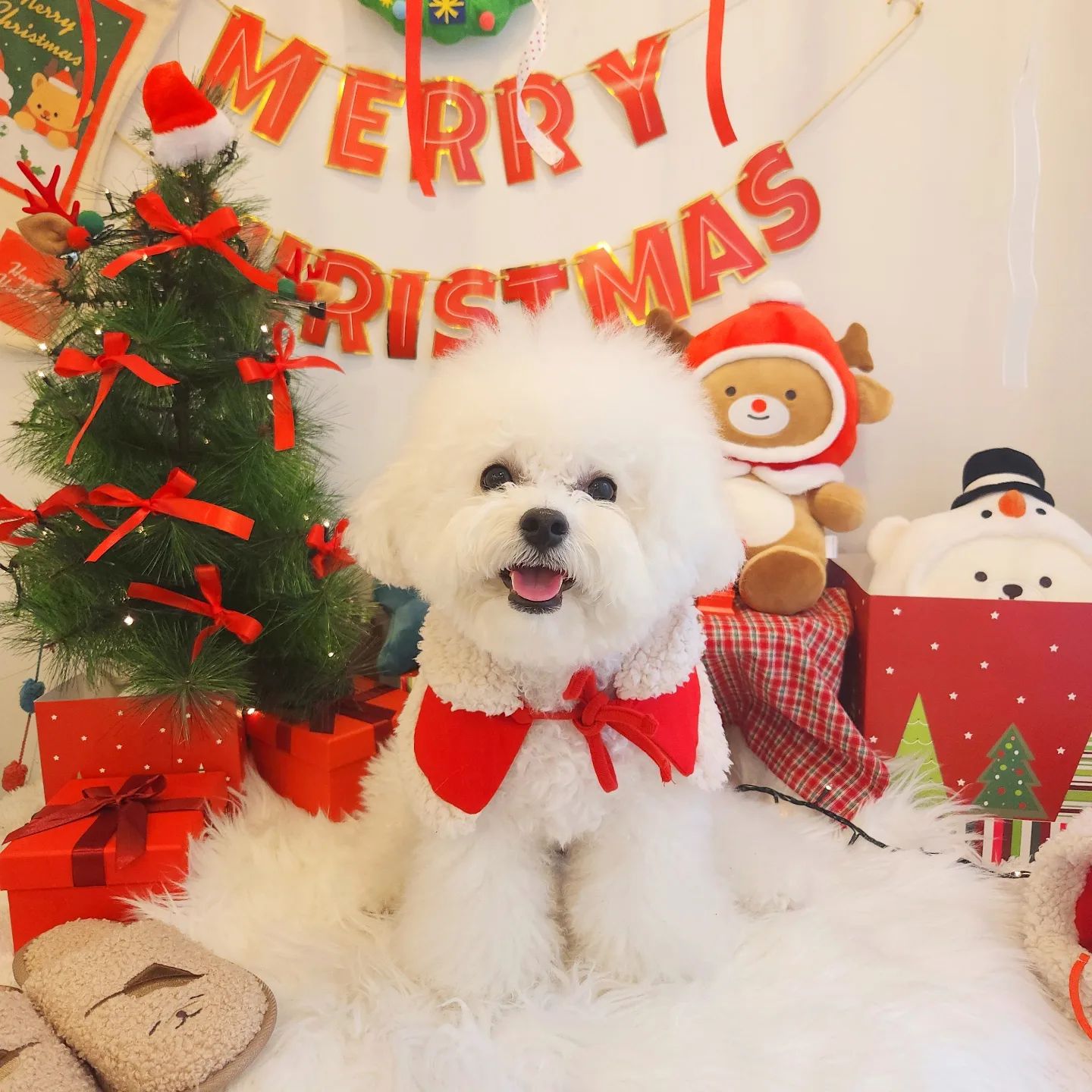 멜크 하나도 기대 안ㅎH(?)😗

사실은 너무 많이 해 ꔛ
얼른 크리스마스 와락🎅♥️

클스마스 올때까지 다들
감기 조심🙋🏻‍♀️

서우 누나는 이미 독감,,🥹
_