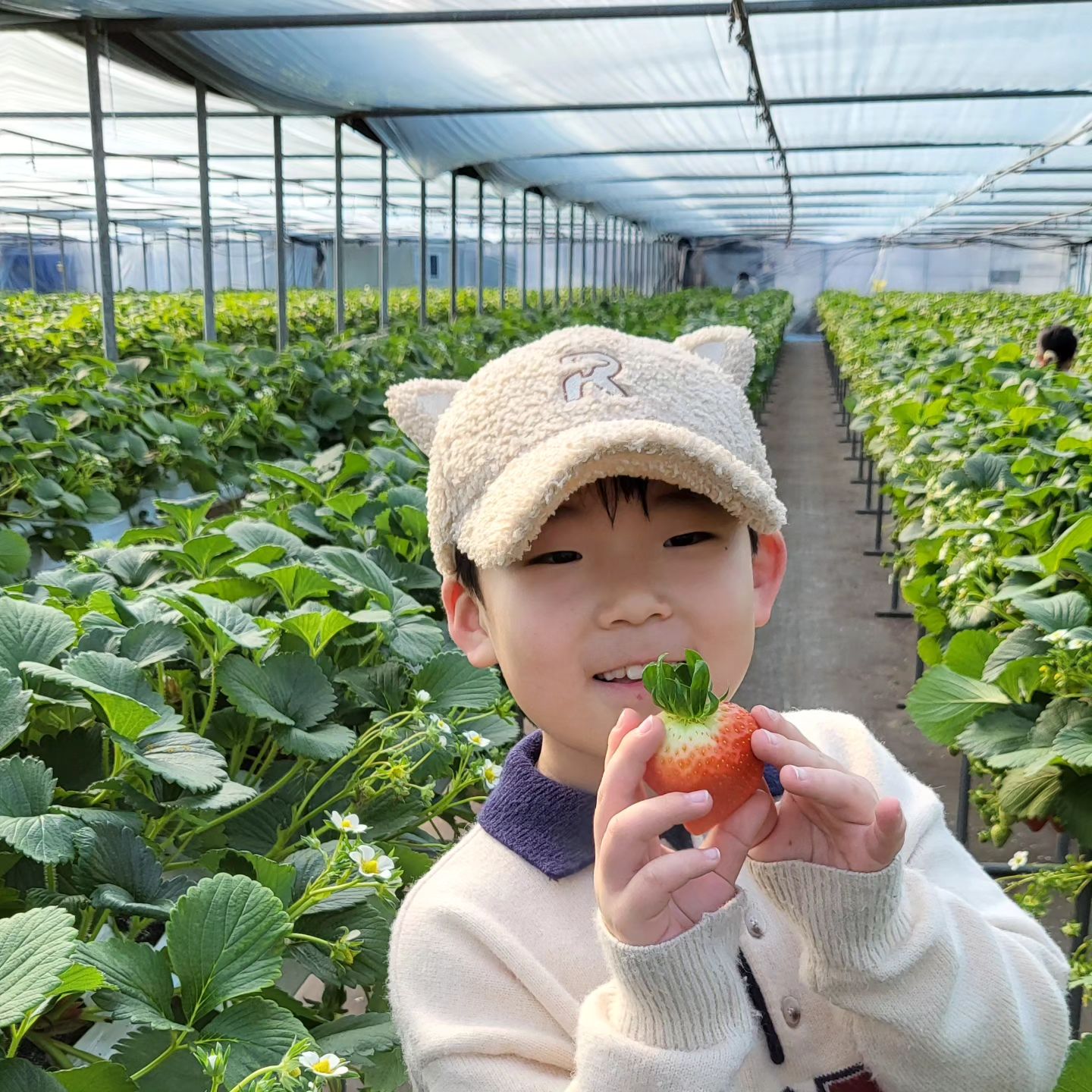겨울엔 딸기 🍓 
딸기를 넘 좋아하는 일콩이랑 딸기체험 다녀왔어요.
벌써 더드림농장만 3번째 방문
딸기 사이즈도 크고 왕딸기
달고 달면서 친절 ~~~
딸기밭에서 시식은 안되지만 정량팩 1개 시식용으로 주셔서
아쉬움 싹  사라지공
테이블에 와서 씻어 먹고 집으로 가지고 갈 수 있어요.
비닐하우스가 더워 결국 아이스크림 만들기 체험까지
단번에 롤을 성공해 
사장님한테 자랑도 하구요.
놀이방에서 아직도 노는 초등형아

#겨울방학 #아이랑가볼만곳 #딸기체험
#더드림딸기체험농장 #딸기먹방
#아들과데이트 #엄마랑아들 #초3
#육아소통 #아들스타그램 #육아
#육아소통그램  #아들바보 #초등맘
#육아일기 #육아맘 #선팔 #맛팔
#선팔하면맞팔 #선팔 #줌아줌마