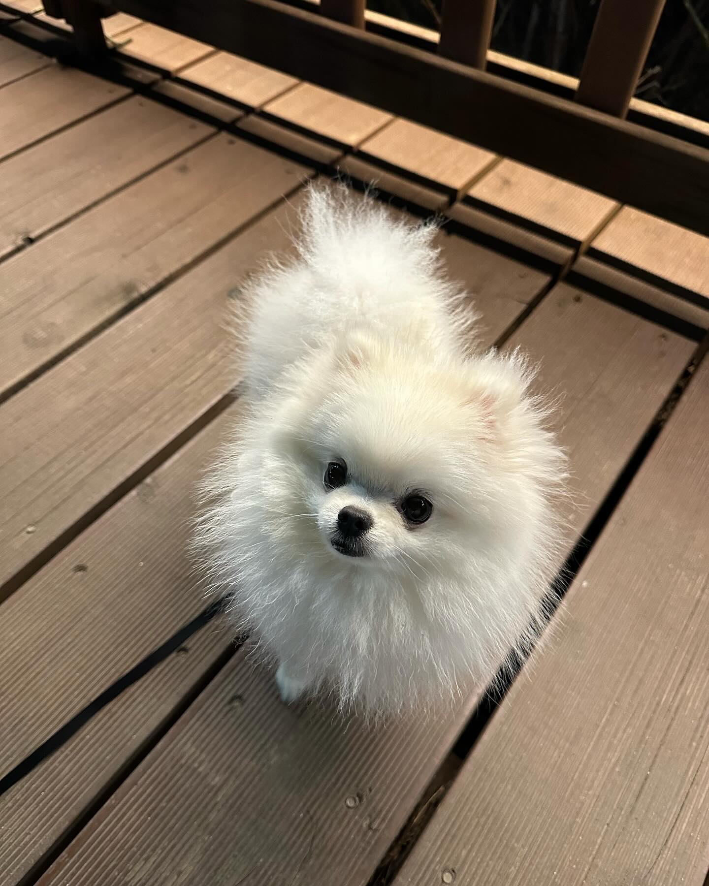 다들 잘 지내고 있지 ? 🫶🏻💖