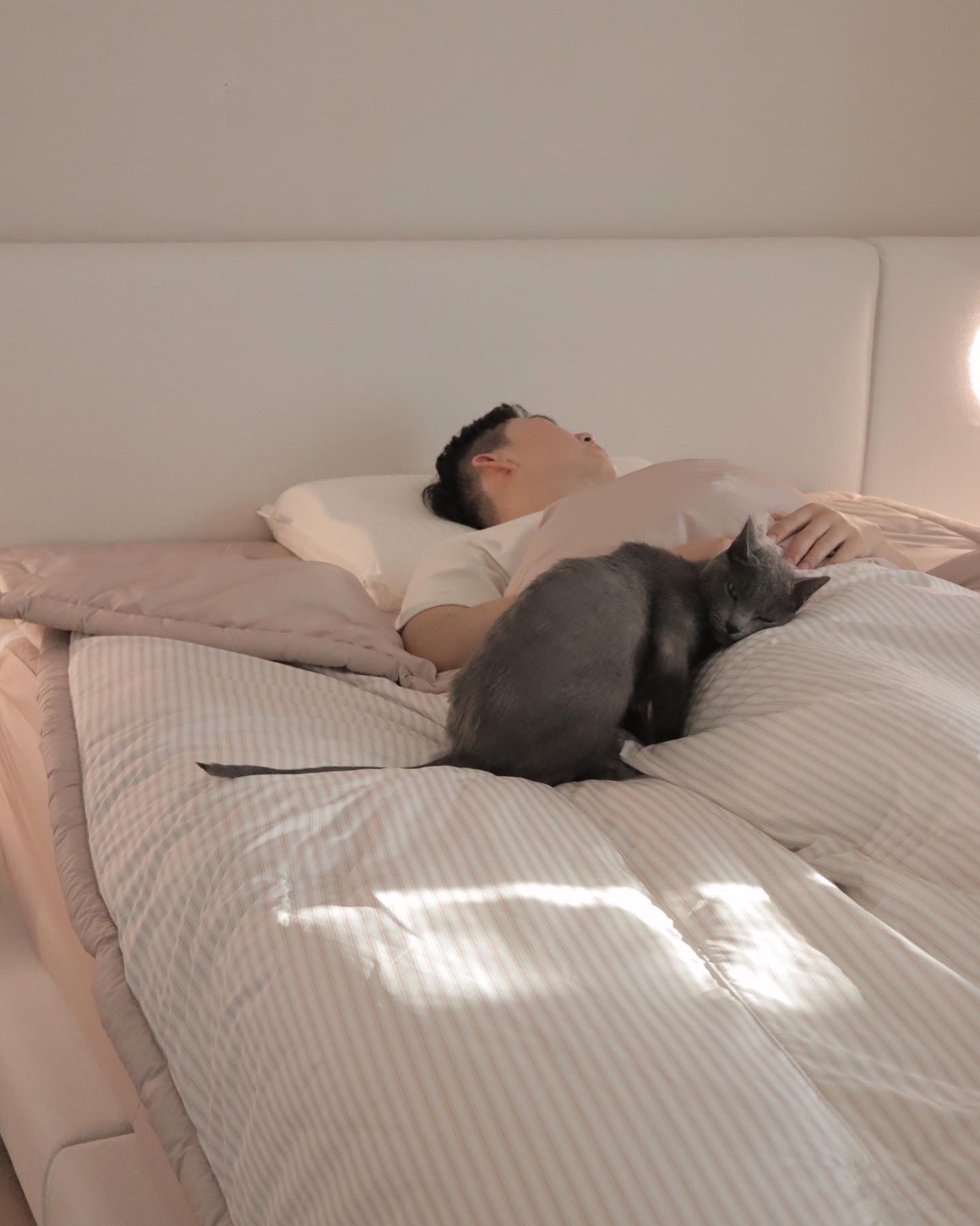 던롭필로