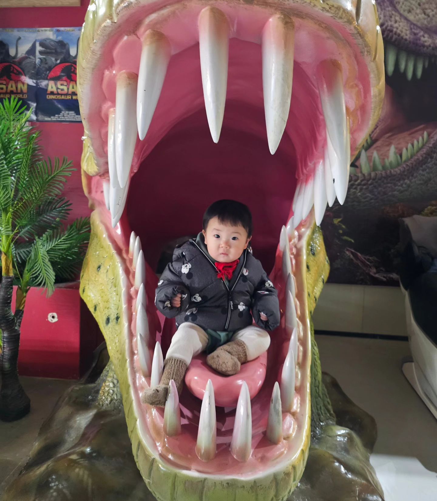 놀란 토끼눈의 정석🙄ㅋㅋㅋ