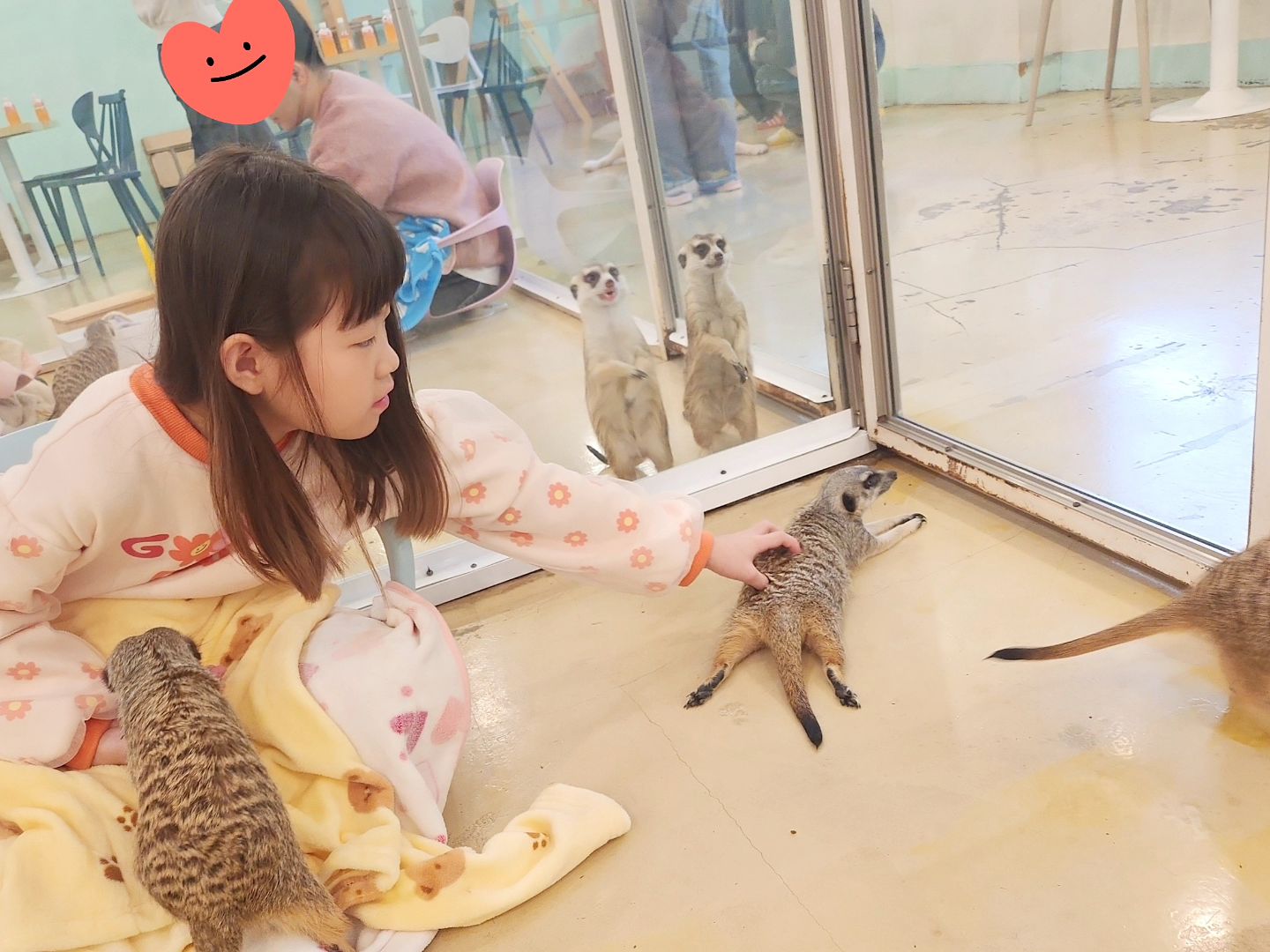 💜🩷💜🩷

울초딩 방학동안 
너무못놀아준거같아서 
오랜만에 둘이데이뚜😊

다니 좋으라고 갔는대 
여기뭐야 ?!!!
1시간 30분이 짧다고 느껴질정도로 
나도 너무  즐거웠던 💕
동물친구들 
다 순하구 너무너무 귀여웡!!!!! 

#데이트성공적
#재방문100000퍼

#건대 #건대가볼만한곳 
#비가와도우릴막을수없다
#이색카페 #미어캣 #너구리 #카페추천
#고양이 #데이트코스 #딸스타그램 #육아스타그램 #육아소통 #일상
