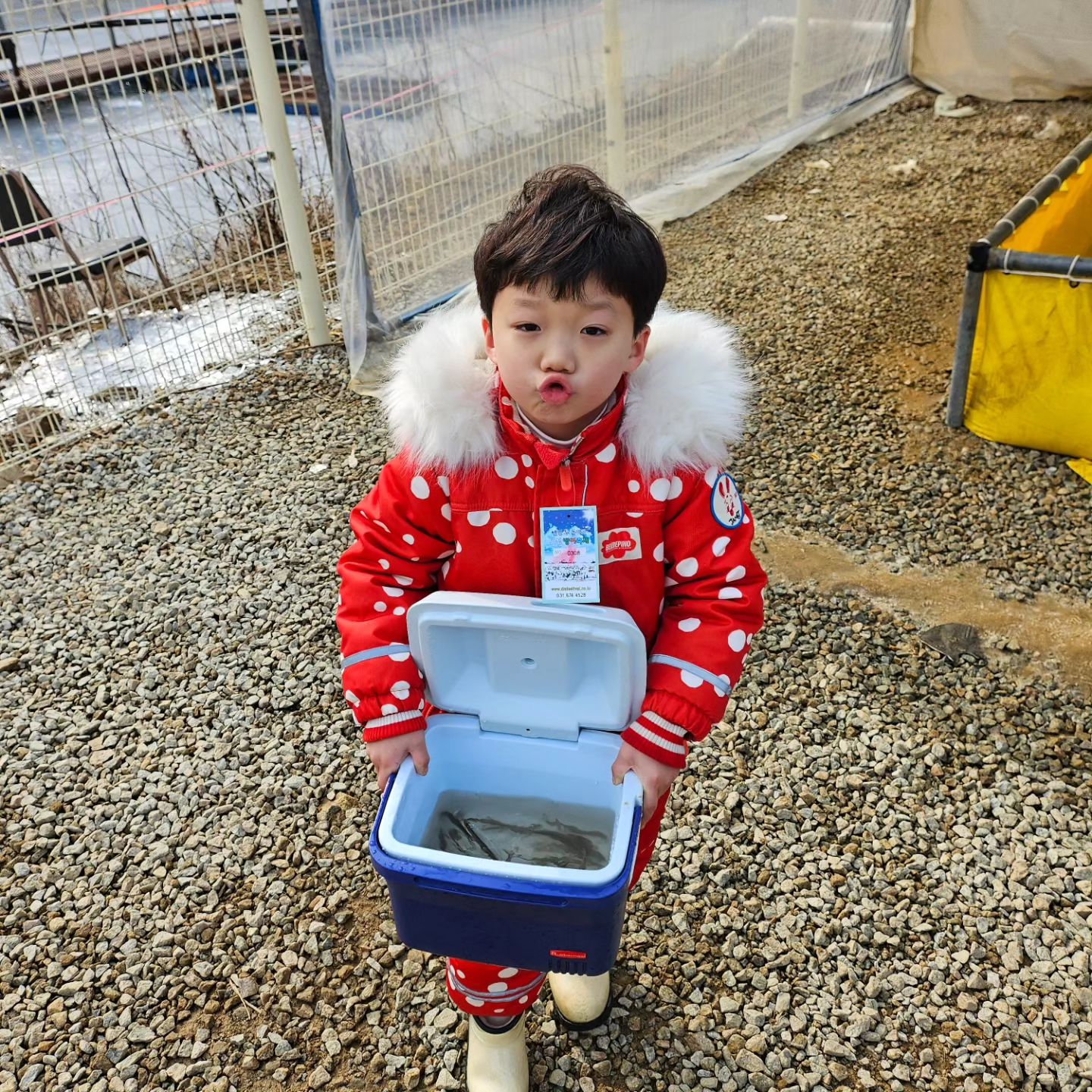 울 애기들 아빠가 너네가 앉을 의자
하나씩 들고가라고..

진재는 들자마자 엄마 무거워 하고 
다시 돌려주는데 
지노니 자기 몸만한 의자 꿋꿋하게 
들고가는 씩씩한 둘째🤣

진재 의자 들어보고
너무 무거워서 깜짝놀랬다ㅋㅋㅋㅋㅋㅋ

그리고 빙어낚시를 하러 갔지만
빙어뜰채가 메인이되어버린...그날 

얼음이 다 녹아서 
빙어 낚시는....완전 실패ㅠㅠ
그 와중에 진재파파 
같이 간 친구네 낚시대로 
빙어 한마리 잡은거 무슨일이니

#일상 #안성빙어축제 #빙어축제 #빙어튀김 #킬러