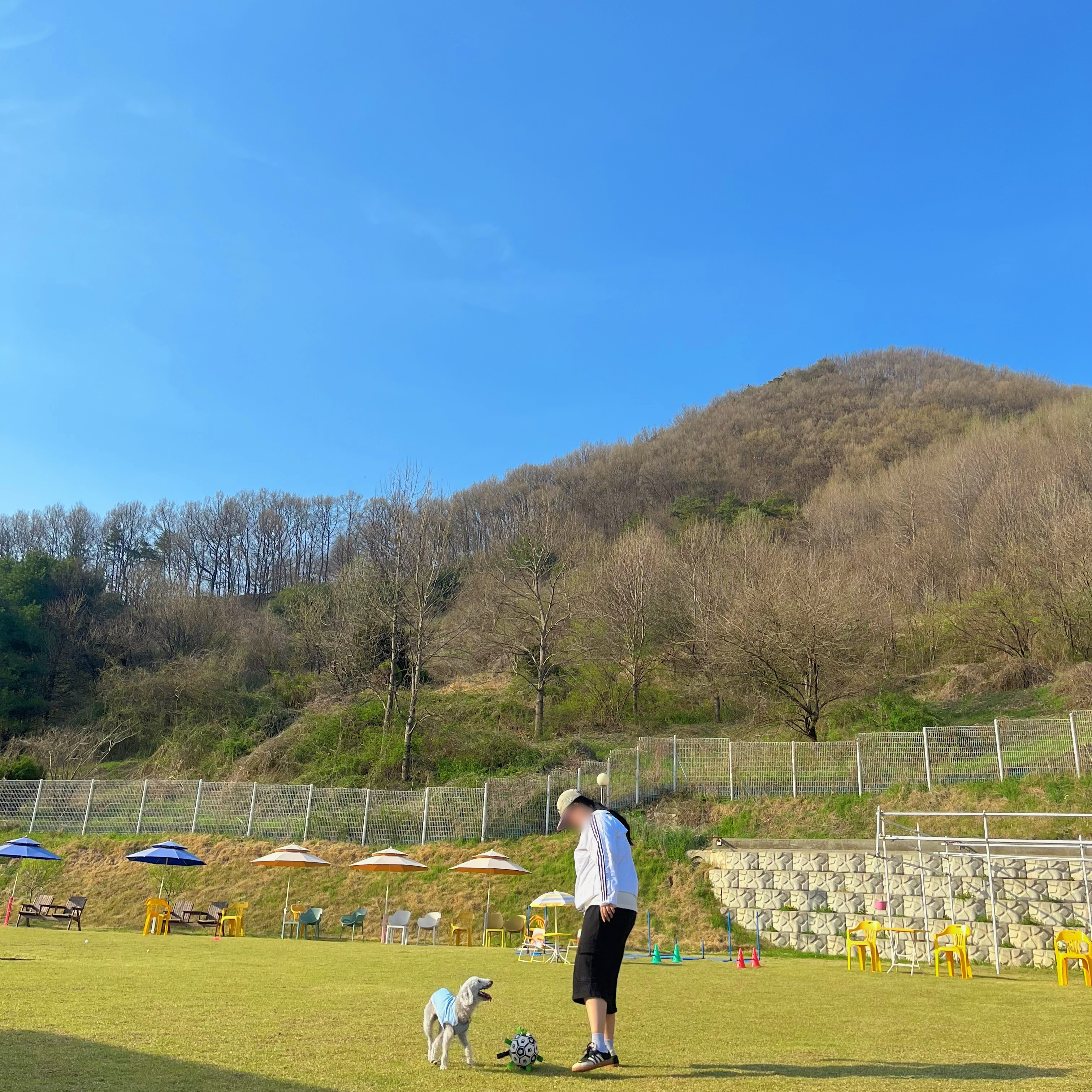 축구 할 강쥐 다 모여 ~