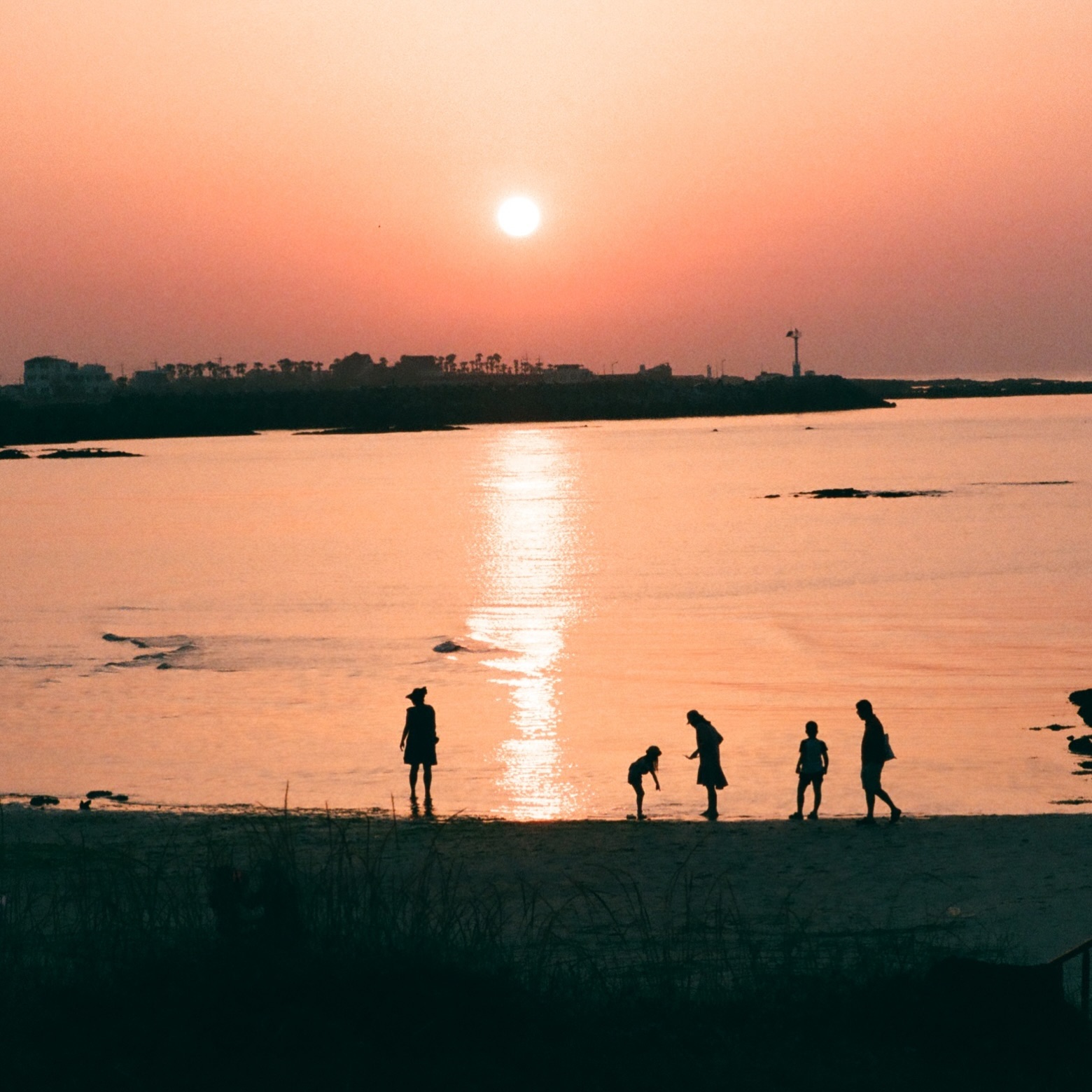 🌅