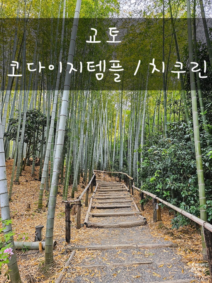 교토 청수사 근처 우연히 들어간 : 코다이지템플, 치쿠린