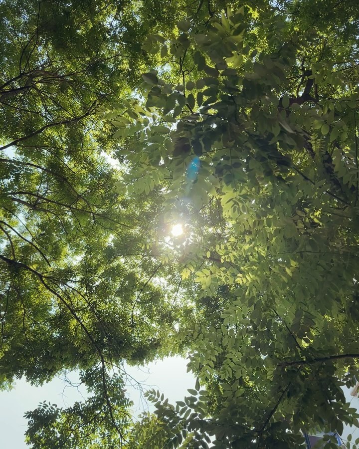 알차고 행복한 하루 보내기 ☘️