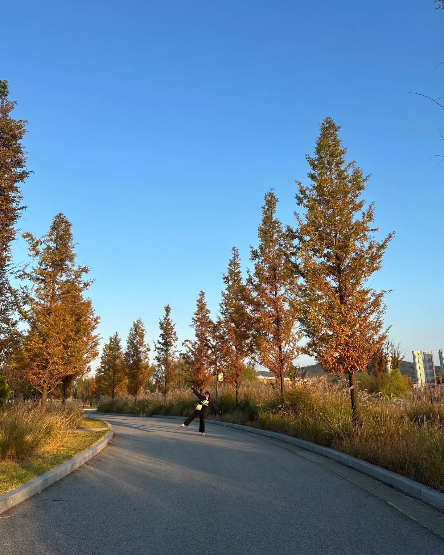 가을🍂

https://m.blog.naver.com/jk2565/223658434643

https://m.blog.naver.com/jk2565/223655362577

#가을 #단풍 #산책 #세종수목원 #나들이