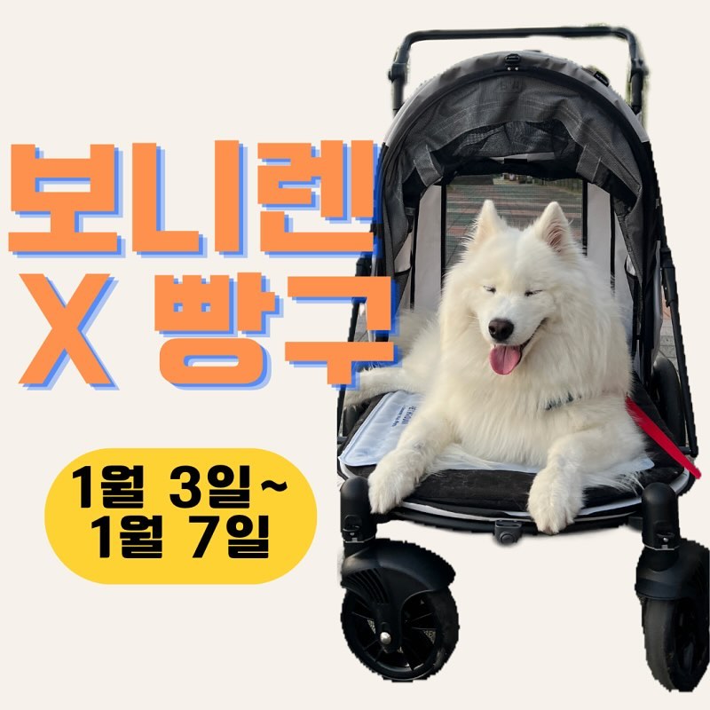💓 보니렌 유모차 2차 공구 💓

유모차만 있어도 우리 아이와 함께 갈 수 있는 장소가 정말 많아요!! 
이제는 유모차 없음 안되겠더라구요😂
보니렌 개모차로 아이들과 소중한 추억 하나씩 쌓아보세요☺️

특히 관절 질환 있는 아이들은 고민말고 유모차 사용해보세요🙋🏻‍♀️

❣️20kg 빵구는 펫11 사이즈 사용중
📍 보니렌 유모차 공구 구성

1️⃣. 펫6 (15kg이내 ) : 정가 376,000원 ➡️ 공구가 155,000원
2️⃣. 펫9 (40kg이내 ) : 정가 432,000원 ➡️ 공구가 199,000원
3️⃣. 펫11 (60kg이내 ) : 정가 476,000원 ➡️ 공구가 229,000원 
4️⃣. 펫9 보호 커버 : 17,000원
5️⃣. 펫11 보호 커버 : 19,000원

🟢 아이들의 등길이, 체형, 골격, 앉은키 등을 고려해서 선택해주세요! 
🟠 예민한 친구들은 보호커버 함께 구매할 수 있게 옵션에 넣어놨습니다 :) 
🔵 사이즈 상담 및 제품 문의는 DM주세요 

🗓️ 공구 기간 : 2024년 1월 3일 ~ 1월 7일
🔗 프로필링크에서 구매 가능합니다 
📦 무료배송 / 제주 산간 지역 3,000원 

#개모차추천 #강아지유모차 #대형견유모차 #보니렌 #보니렌공구 #보니렌유모차 #보니렌11 #대형견유모차공구 #대형견유모차추천 #빵구네공구
