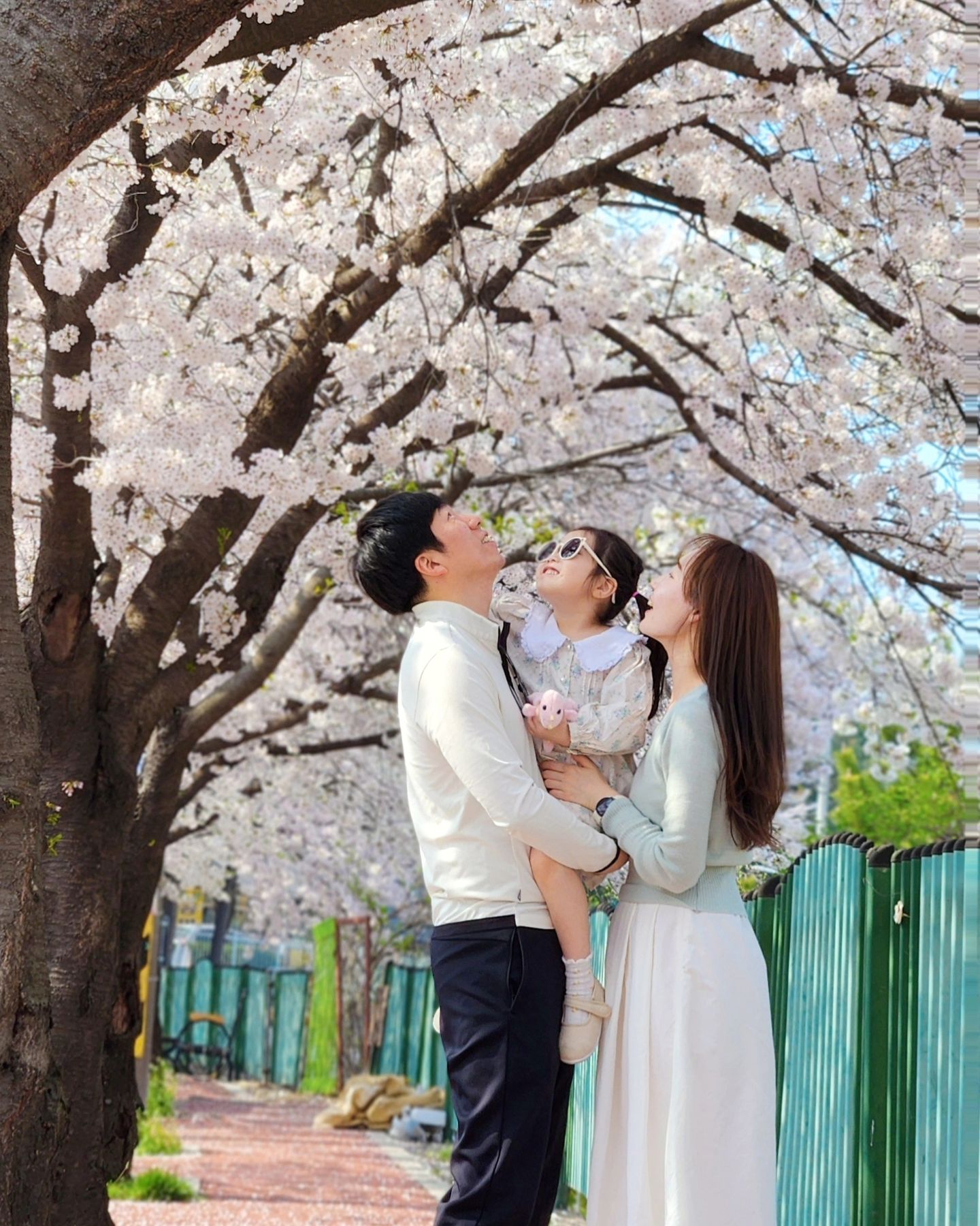 세가족오늘푹자고집근처꽃나들이 #올해벚꽃구경끝 🌸