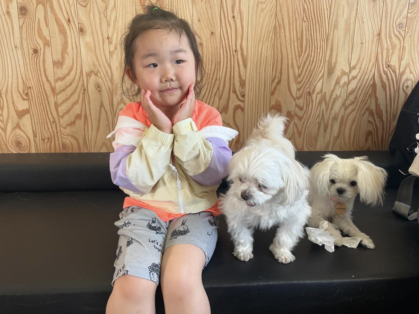 유기견 카페 데리고 와서 온가족 나들이 특히 지안이는 유기견 멍멍이라도 내 멍멍이 외에는 신경도 안씀 애견 카페에서 토리 토토 찾음 #천안애견카페 #천안유기견카페