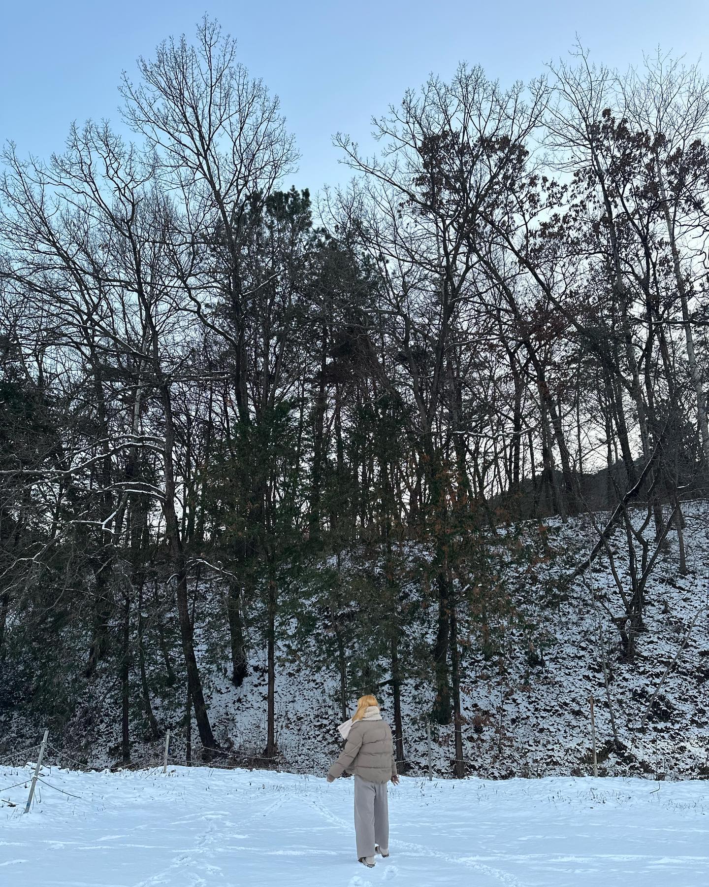 12월은 담양, 1월은 강원도
겨울은 눈 보러 다니기🎄🎅🏻🌨️