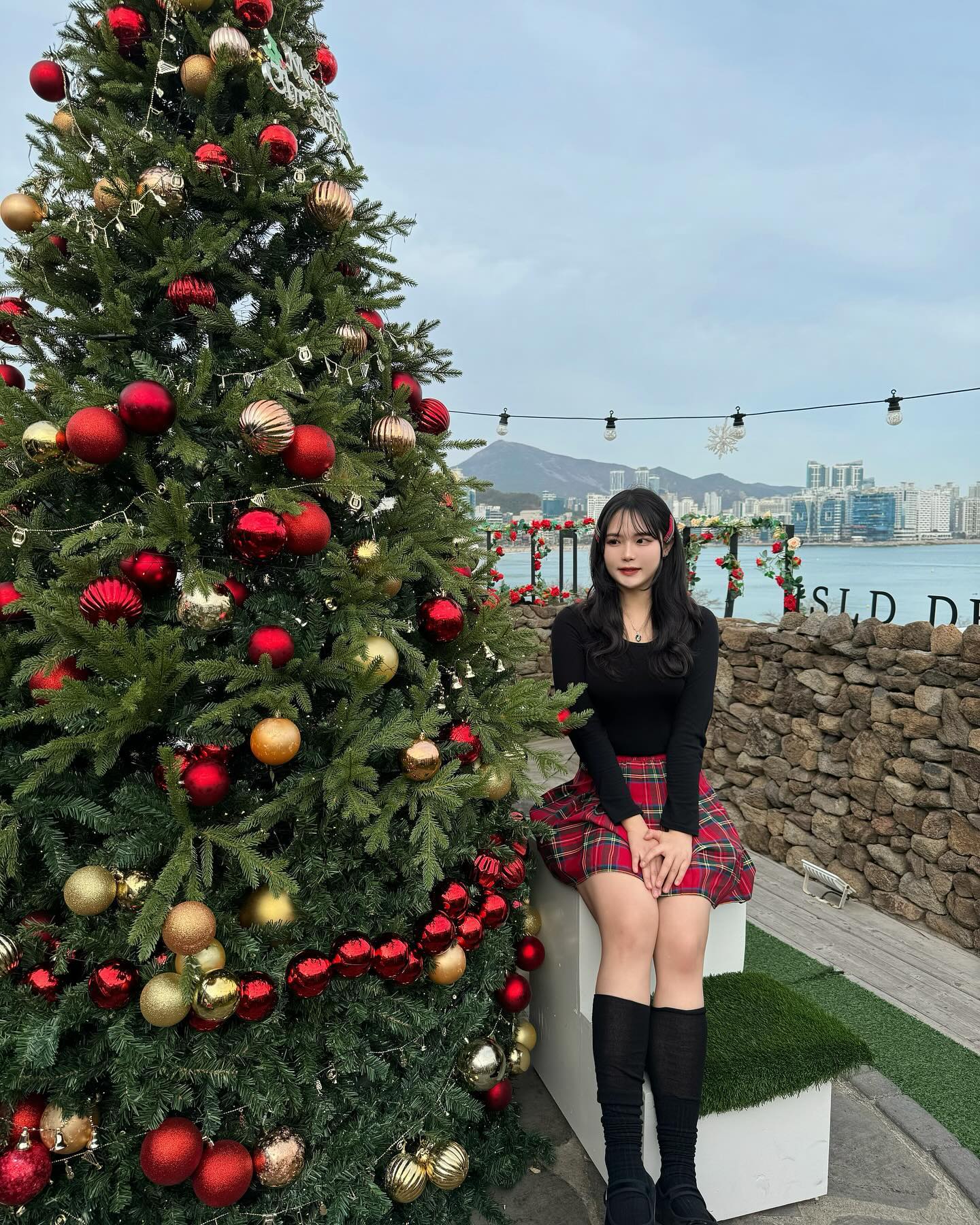눈내리는 트리 맛집 🌲❄️

아일드 블루!
부산 수영구 광안해변로 125 우진빌딩 3층

눈 내리는 시간🩵
매일 13시/18시/20시

브런치 뿐만아니라 음료, 통닭 파스타 등 다양하게 있어요
루프탑에는 대형 트리가 있는데 정해진 시간에만 인공눈이
내리는데 저는 주말 눈 안내리는 시간에 가서 그런지
편하게 사진찍고 왔어요 :)