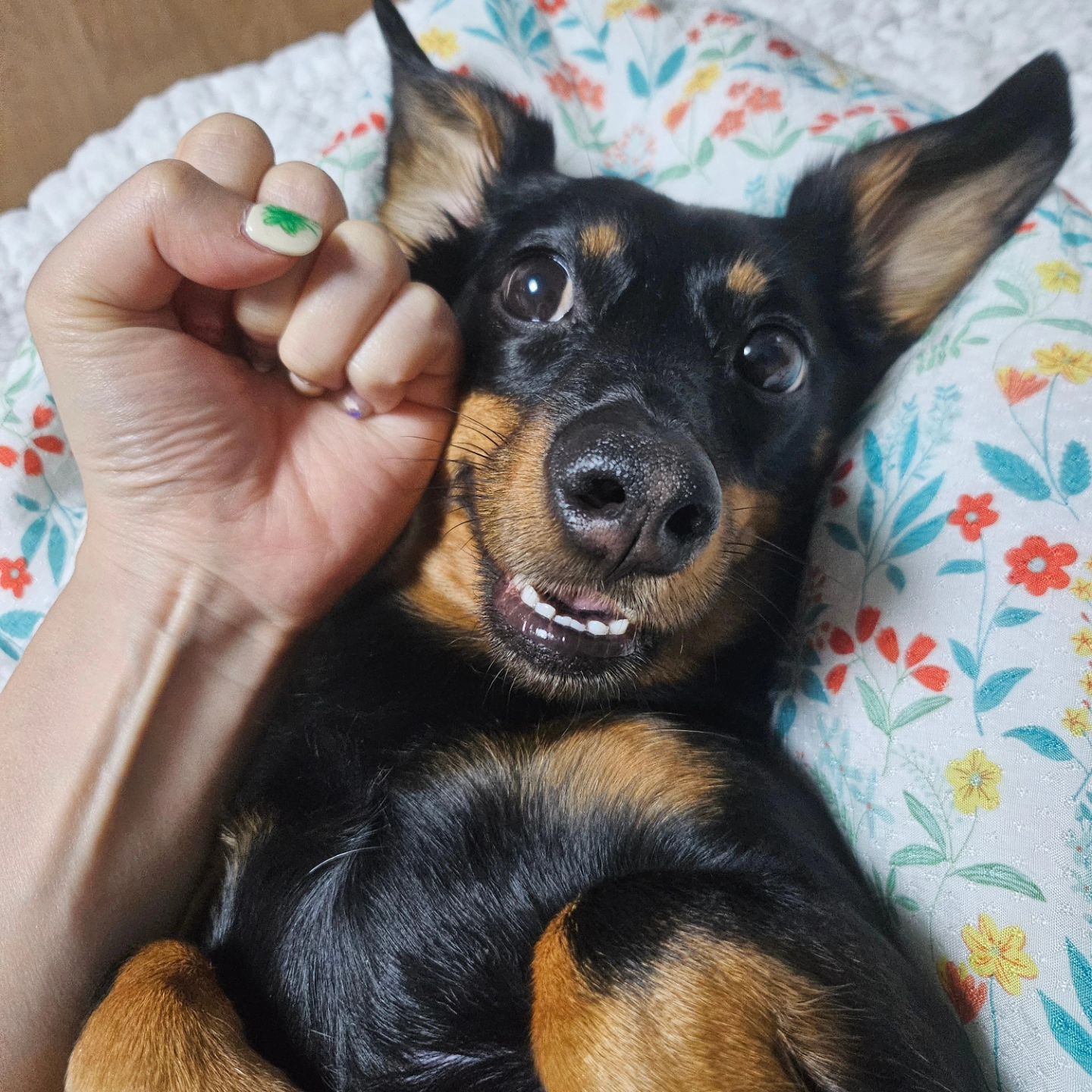 나...눈치챙겨 나자신 핳하😅 #한주먹거리