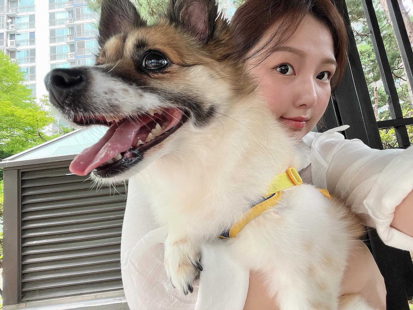 언제 이렇게 커졌니?🤣