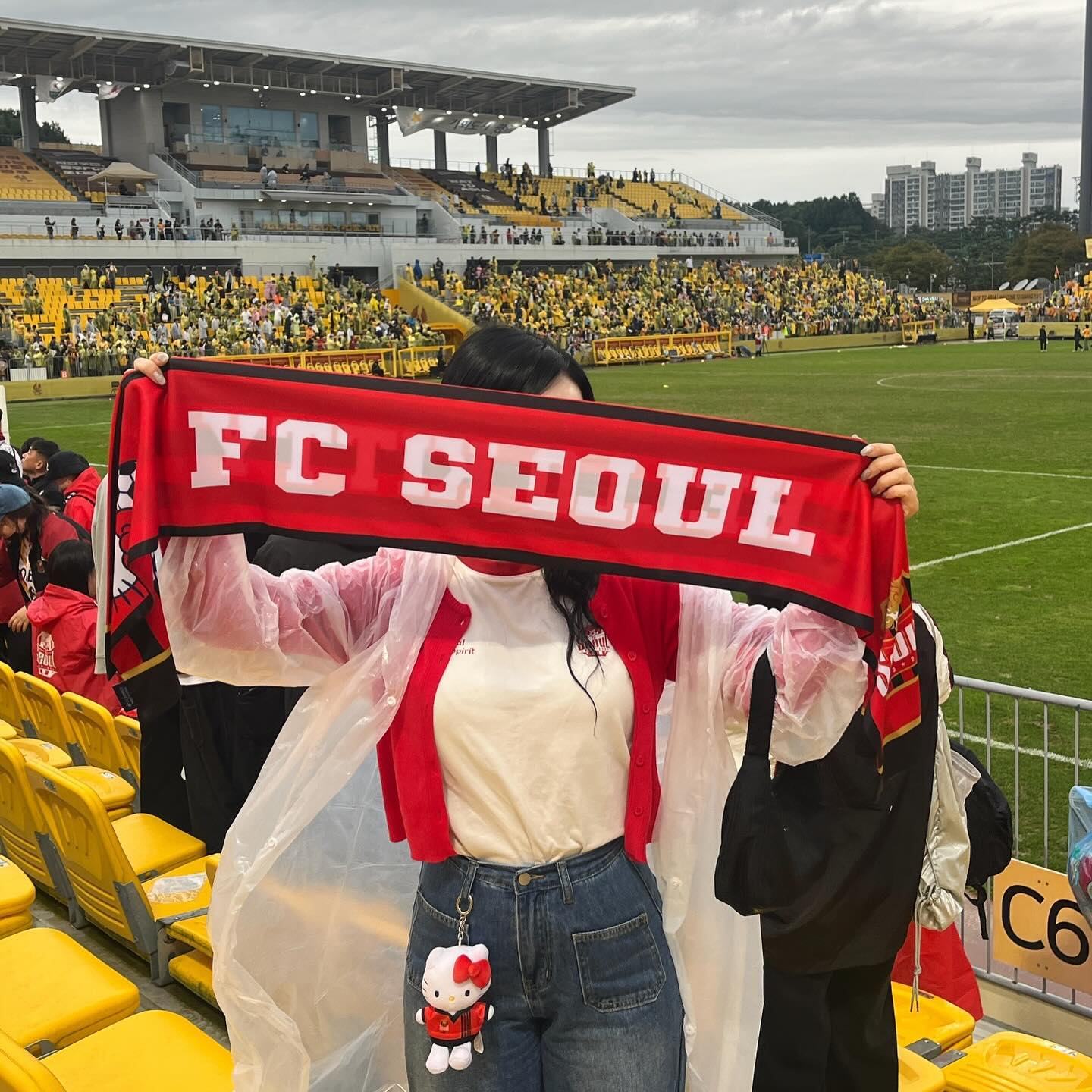알레알레 서울 + 조영욱 ♥️🖤

#fc서울 #조영욱 #린가드 #수호신
