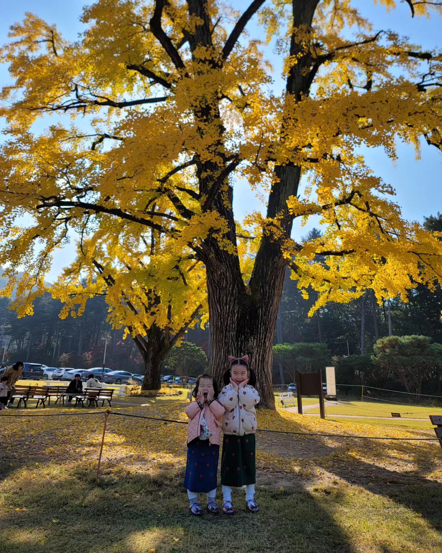 #카페투어
⠀
여전한 가을빛 🍂
⠀
⠀
#가을이네
#나가자
#여기저기
#많이다니기
#쥬뉴이야기