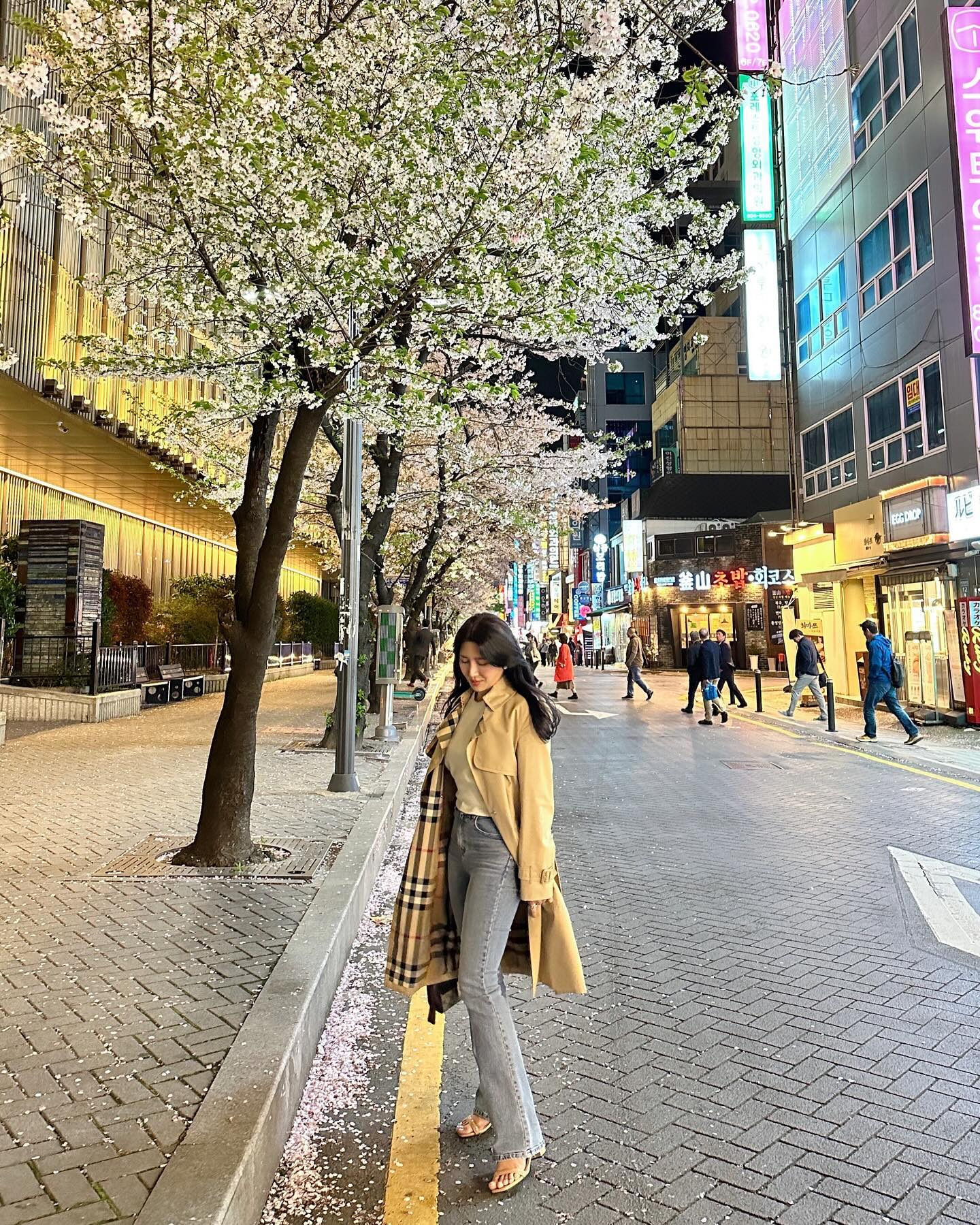 ⠀
⠀
밤벚꽃🌸
⠀
찍은지가 언젠데
이제야 올리는 느림보...ㅋ
⠀
⠀
⠀
#서면롯데백화점
#벚꽃길
#밤벚꽃
#봄날씨
#포근해
