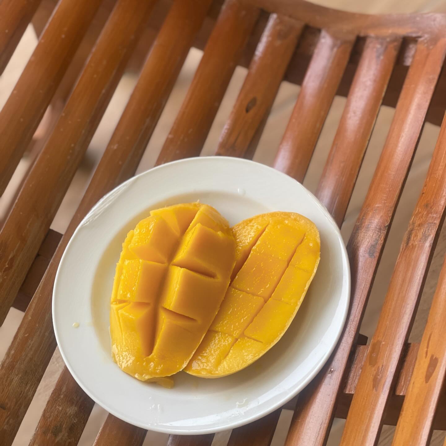 과일천국🏖️🥭
망고랑 멜론이 젤 맛잇었음!

진짜 멜론 저 주황색 쥬스보이면
꼭 먹기! 두번먹기! 🍈
욘싼도 망고쥬스보다 맛있다고 인정😁

#세부여행#태교여행#필리핀여행 #막탄