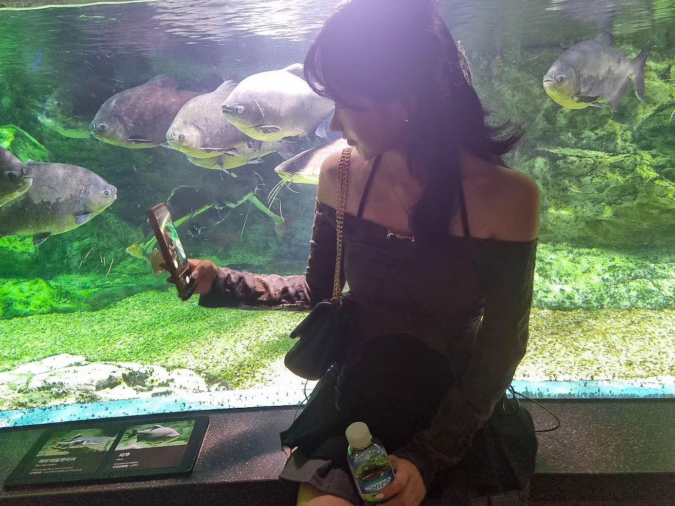 🐠
