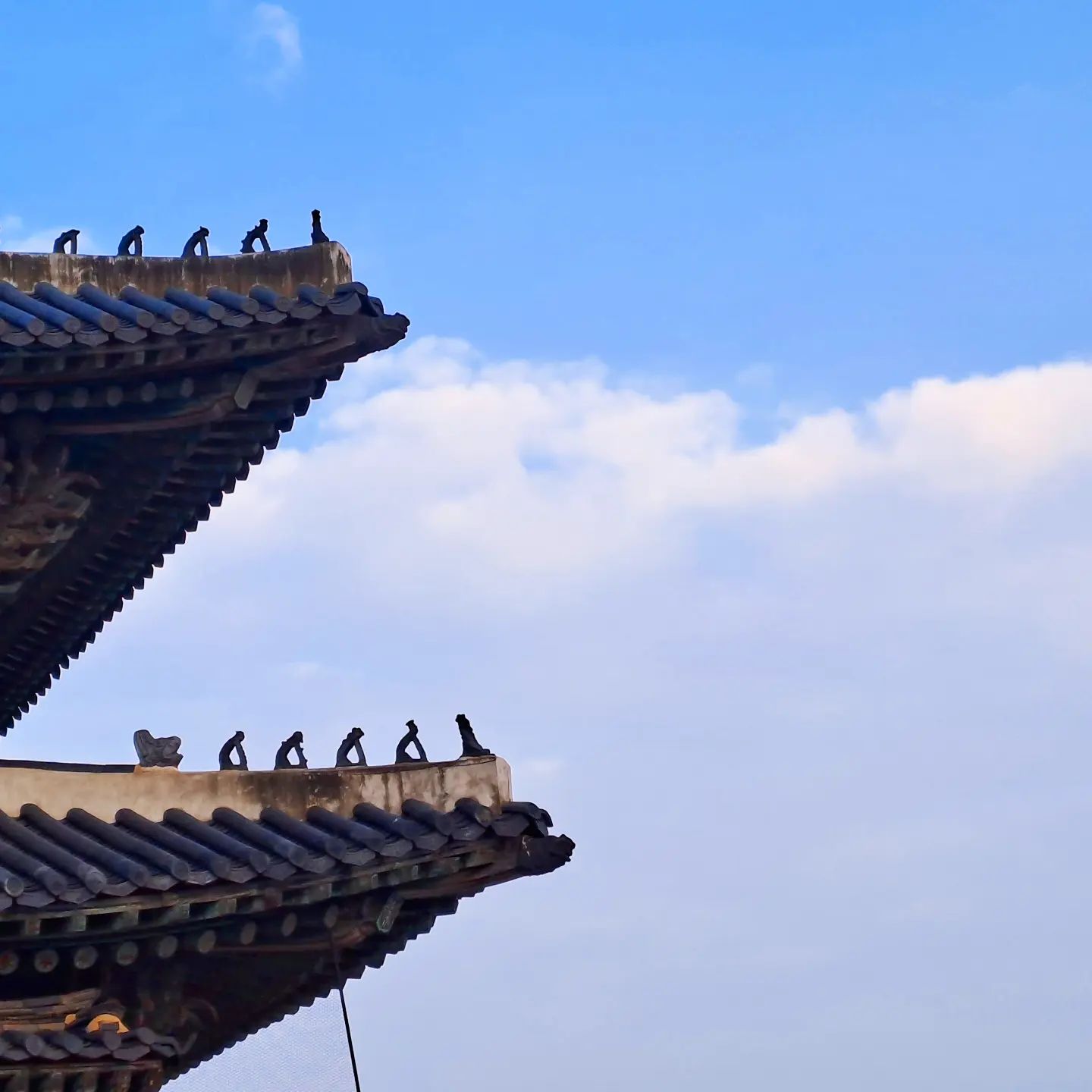 Clear skies, fresh winds, warm sunshine, soft music, the scenery of children running around laughing.
Please keep peace so that war does not take away this happiness.

#wewantpeace  #peace  #wedontwantwar  #nowar 
#together  #love  #wolrd  #un #평화 #세계 #전쟁없는세상 #전쟁없는평화 #사랑  #함께  unitednations