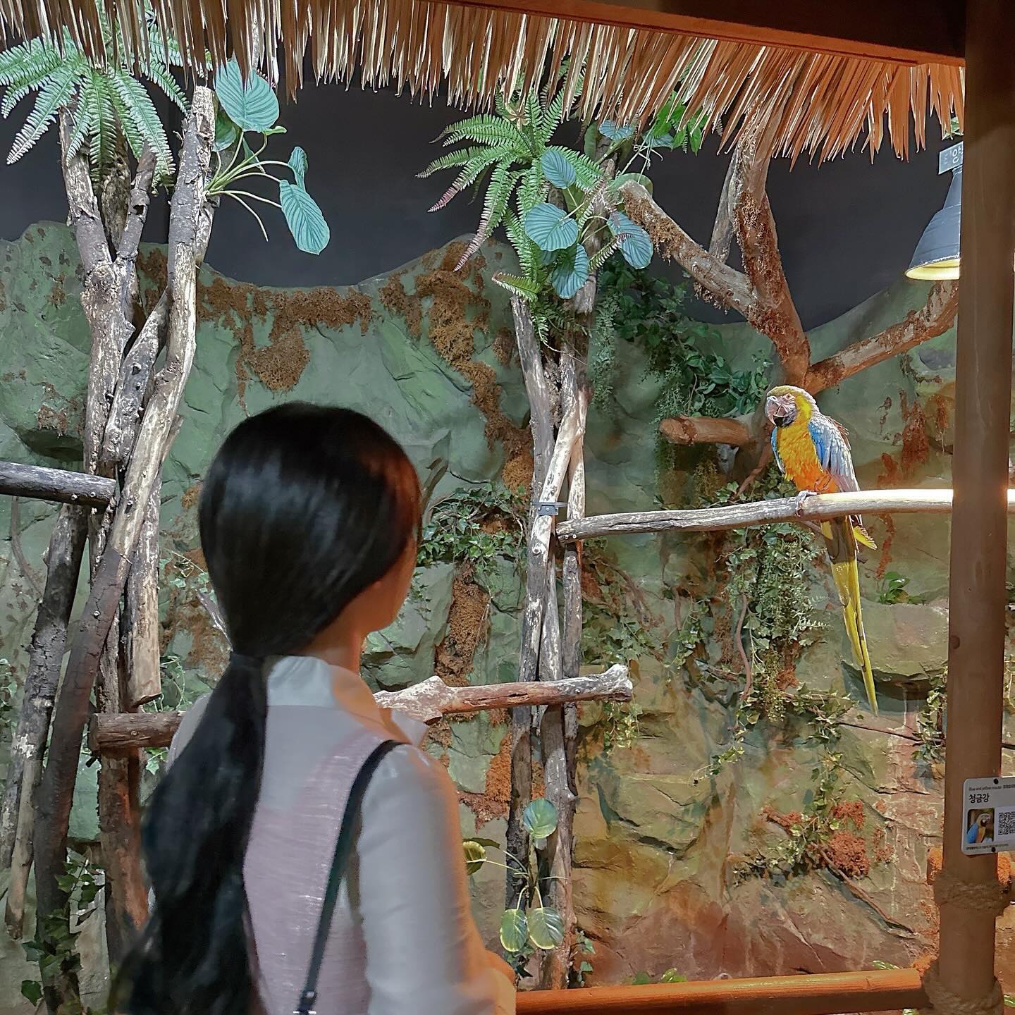 눈싸움 누가 이겼게?🦜