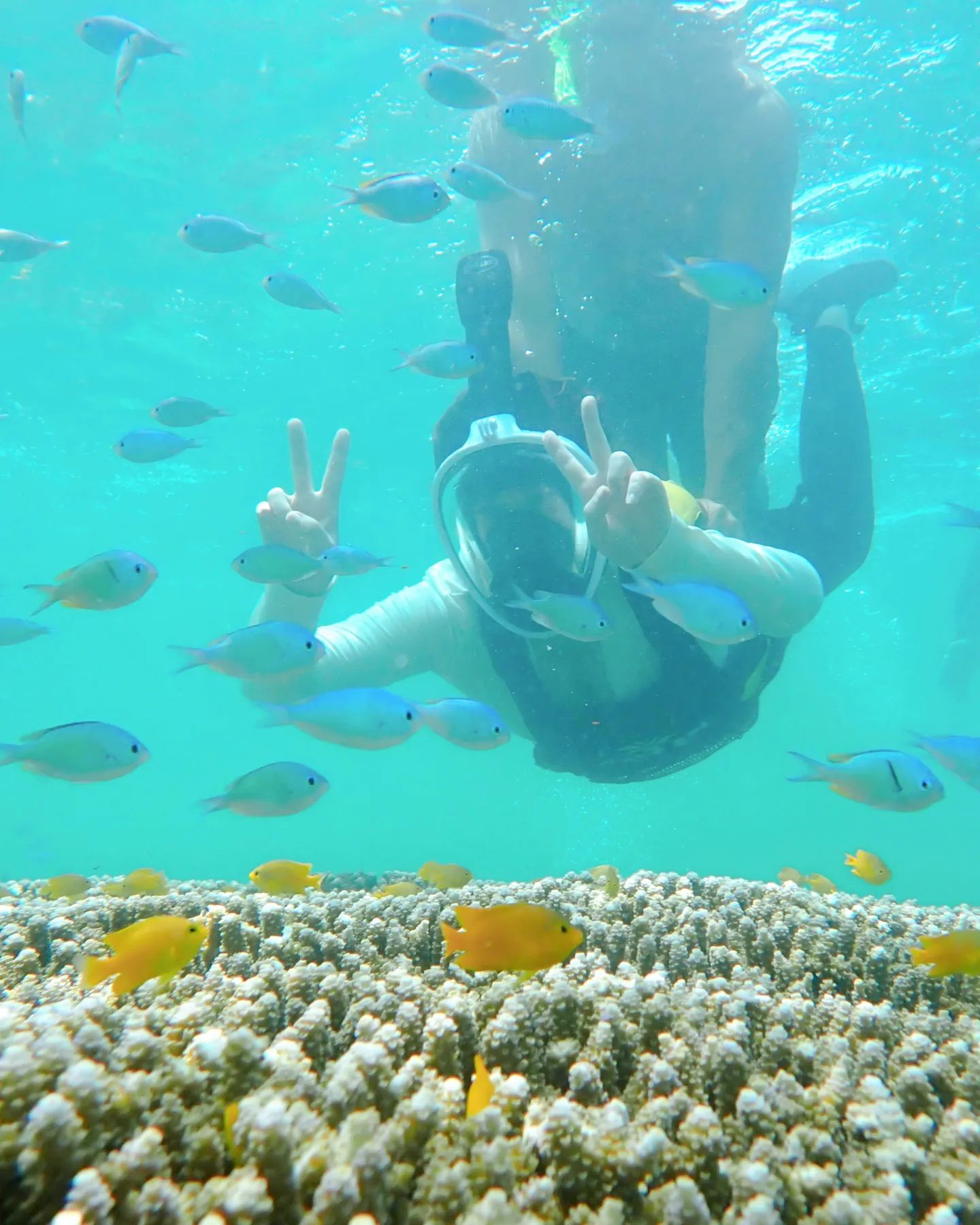 🐠🐟🪸🪼
그.....그만😭🤣
⠀
⠀
⠀
⠀
⠀
외치지못한 한마디, '올려주세요'⠀ㅋㅋㅋㅋㅋㅋㅋㅋㅋ
#모알보알 #필리핀 #세부