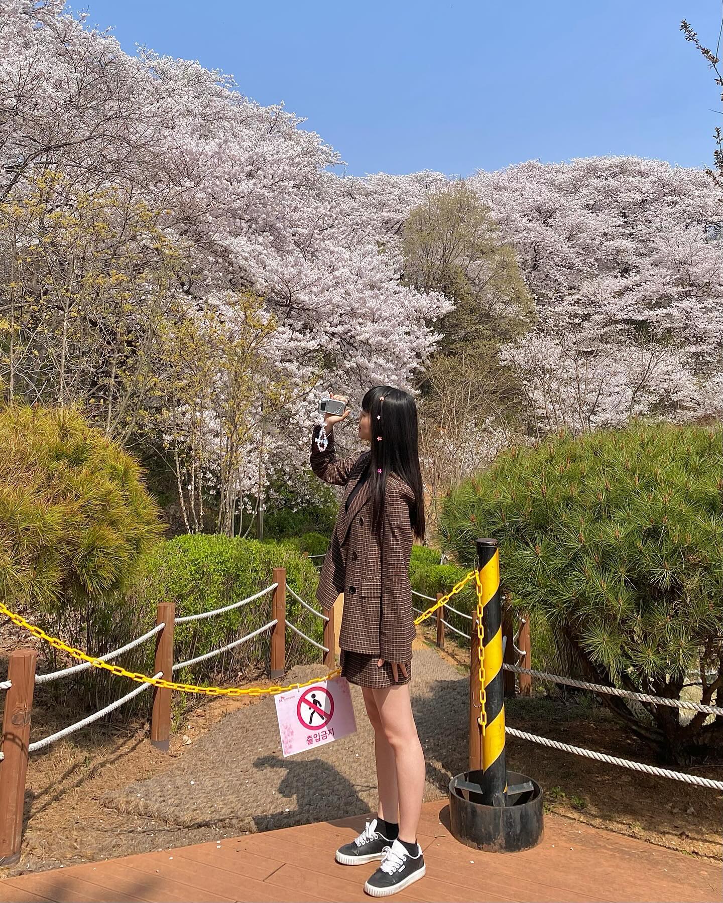 5년만에 개방된 sk인천석유화학 벚꽃동산 🌸 

코로나 이후 처음 개방하는 sk인천석유화학 벚꽃동산 
가서 벚꽃 잔뜩 보고 왔따 ٩(๑❛ᴗ❛๑)۶

📍 sk인천석유화학
🚘 주차 공간 없음-> 대중교통 추천
🌸 4월 4일부터 4월 9일까지
⏰ 10시부터 17시 -> 입장 마감 16시