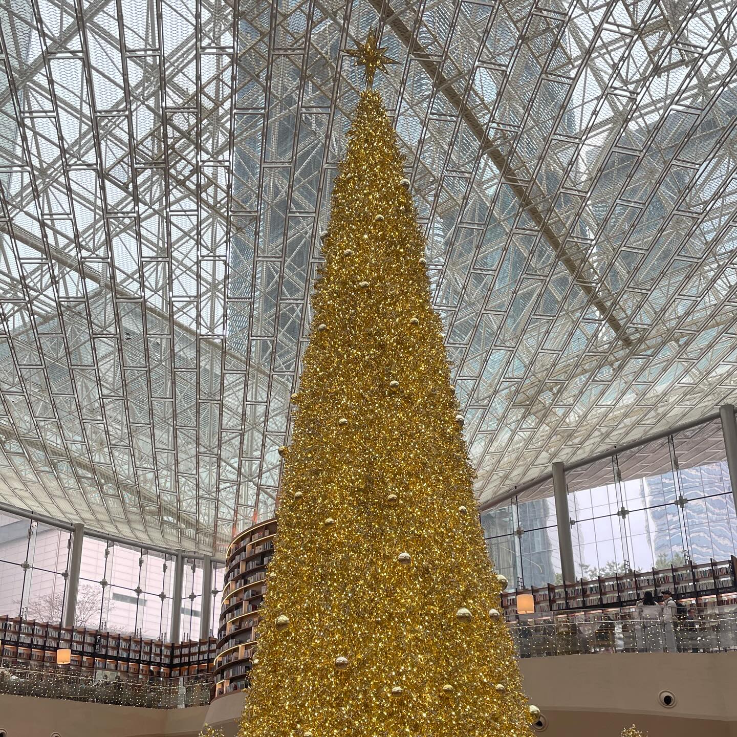 쏘다니고 요리하고 정신없이 지나간 해피 크리스마스 🎄🤍