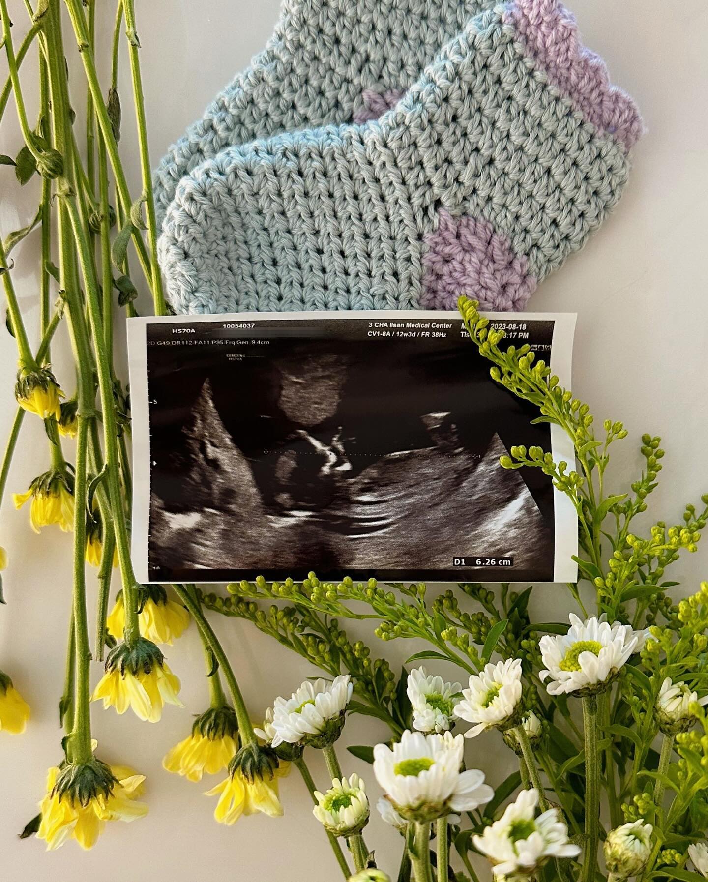 #임밍아웃
작년 인스타가 뜸했던 이유 🤰🏻👼🏻👀 ⠀
⠀
우리 부부에게 소중한 공주님이 찾아왔어요!
만삭이 되서야 알리는 소식이지만,
우리 ’아용이‘까지 함께하는 우리 네가족 모습 예쁘게 봐주세요 :)
⠀
#청룡의해 #용띠맘 #만삭임산부