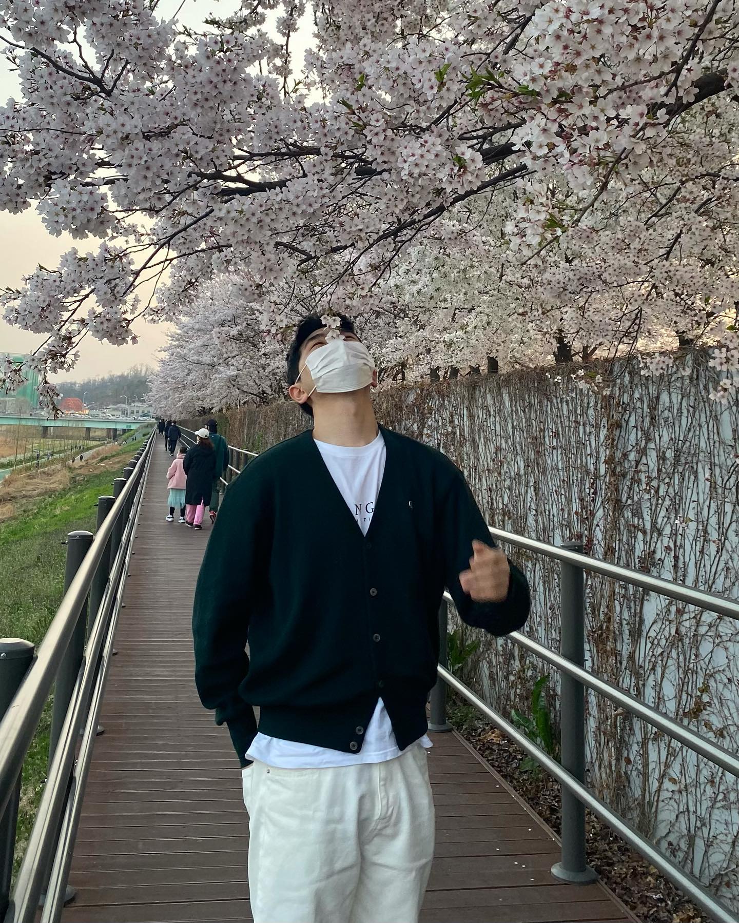 🌸