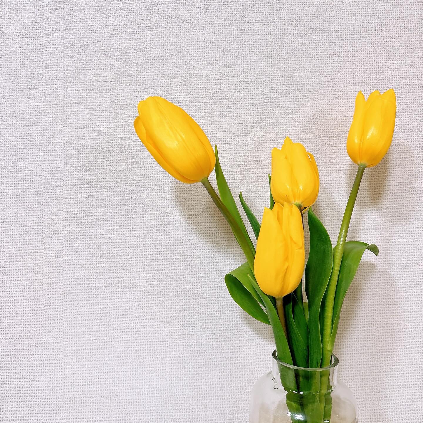 🌷💛

Thank you.
pellucid2 🫶🏻