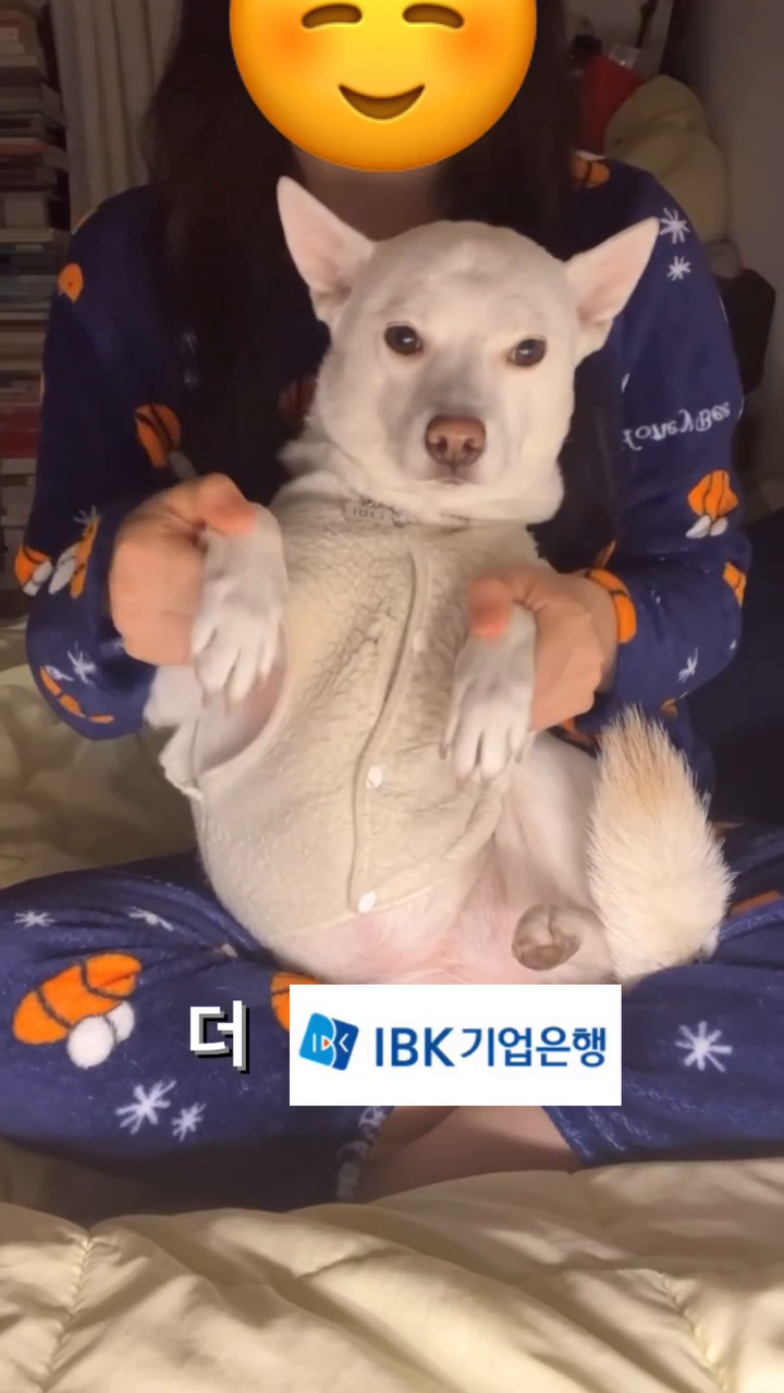 플러팅고수 나 정나미, #은행플러팅 까지 접수했다😎
(는 자다가 깬 비몽사몽댄스)