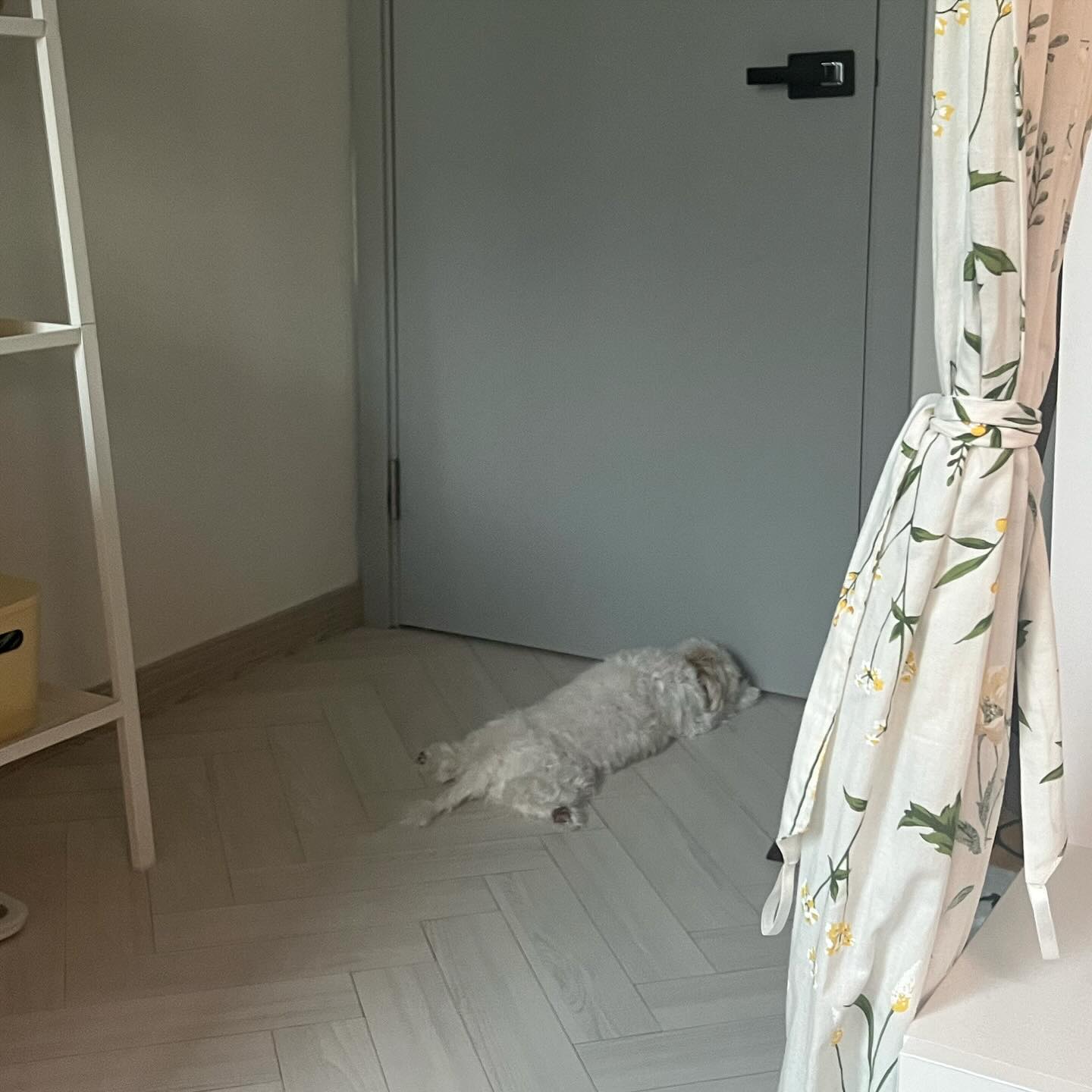 문 열어조,,🥺