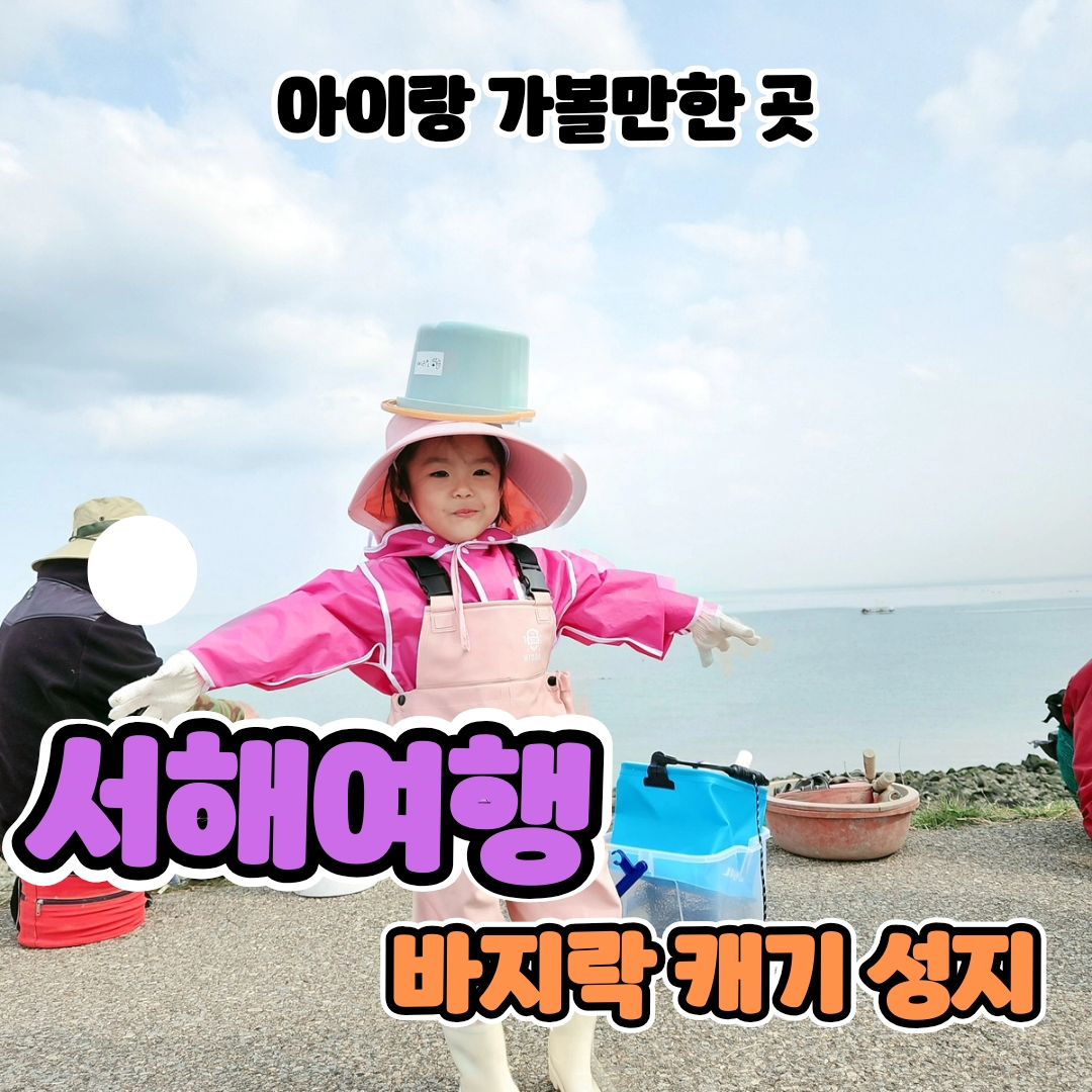 지금 바지락캐기 딱 좋은 시즌인거 아세요?!
알이 아주 꽉 차다못해 넘친다고요 😍
게다가 체험비 0원!!

리아네는 어제 물때가 좋아서
왕할머니댁 (서해) 가는김에 가슴장화 챙겨서
바지락캐기 하고왔어요! 
(요즘 너무잘먹어서 +2kg 퉁퉁붓는중...)

리아찡이 쬐꼼하다가 힘들다 집가자 할것 같아서
한시간정도 놀거 생각하고 바지락 캐는척만하다오자 하고 갔는대 
왠걸..!!!
물빠지자마자 들어가서 물들어올때까지 3시간 꽉차게
잡고나왔어요 ㅋㅋㅋㅋㅋ

엄빠랑 같이 호미질하고 조개도캐고
꽃게잡기도하고 혼자 바구니들고 미역따고 해초따러댕기면서
온동네 어촌계 할미할미들 사랑 다받고왔어요 ♥️

궁디 한곳 붙이고 슬슬 파면 한자리에서만도 몇십알씩 나오니
이거 꽤나 재밌더라고요??? 
ㅋㅋㅋㅋ 리아파파랑 둘이잡은 양이 저만큼!!

돌아올땐 바닷물 살짝 받아 담궈오시믄 오는동안
해감까지 싹되서 오자마자 맛볼수가 있어요! 

집와서 박박씻어 소분 냉동하고 
바로 바지락국에 소주한잔 때리는데 극락 😍 

물때좋은날 울 애기들이랑 체험다녀오세용 ! 

✔️장소문의는 ria_bling 팔로우 후 
"장소정보" 댓글남겨주시면 dm으로 보내드려요 ♥️
팔로우하고 댓남겨주셔야 dm이 가욧 😊