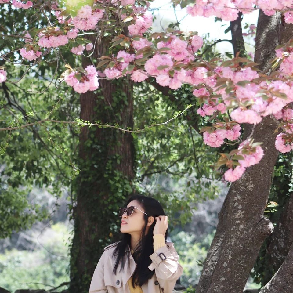 왕벚꽃이 떠나고 겹벚꽃🌸

.
#제주도민 #제주살이 #제주라이프 #일상 #겹벚꽃 #너도내년에다시만나🙆‍♀️