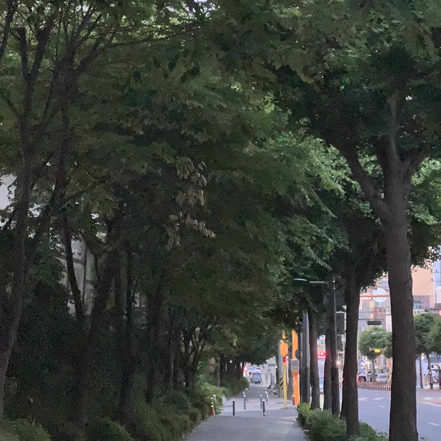 산책🌿
