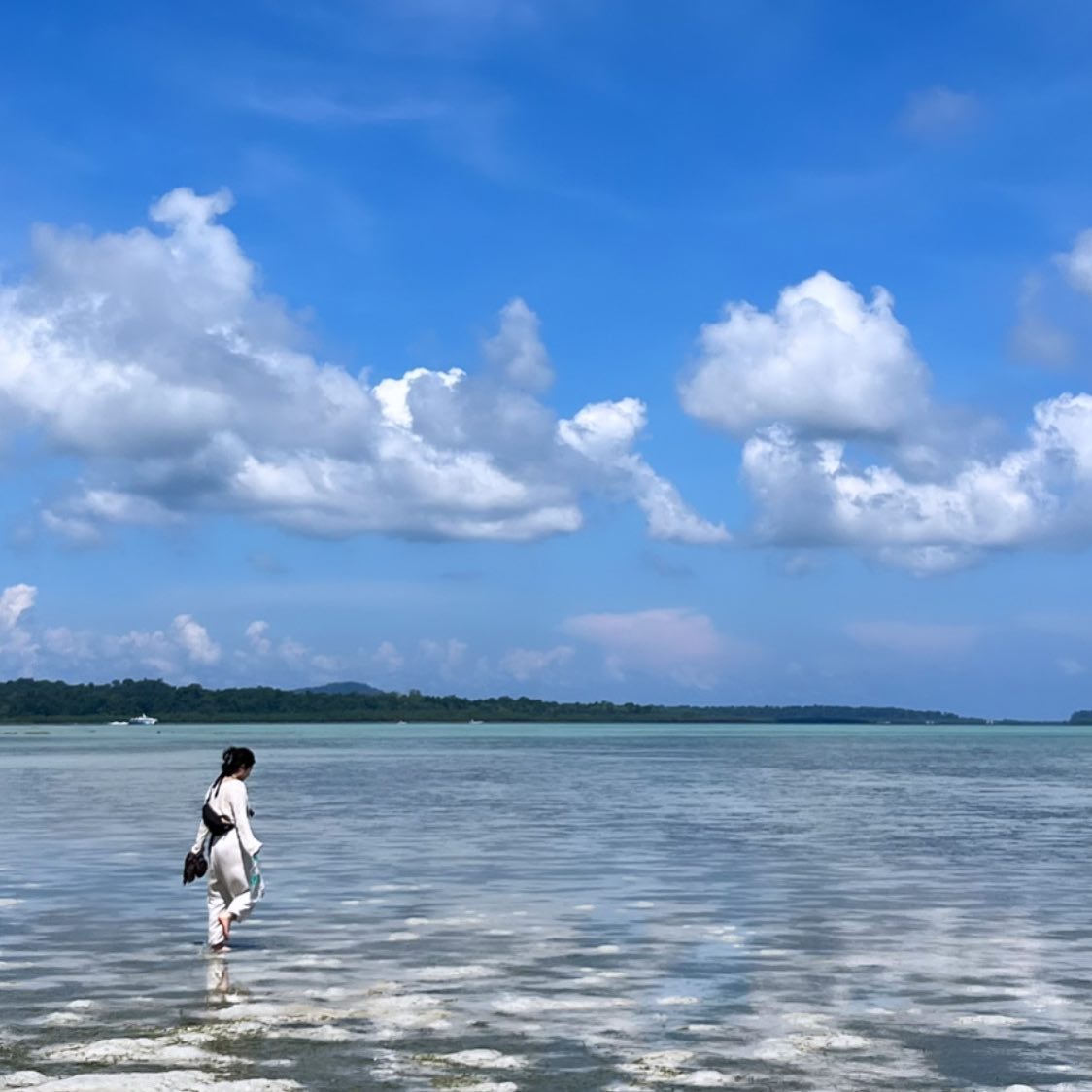 Beach No.5